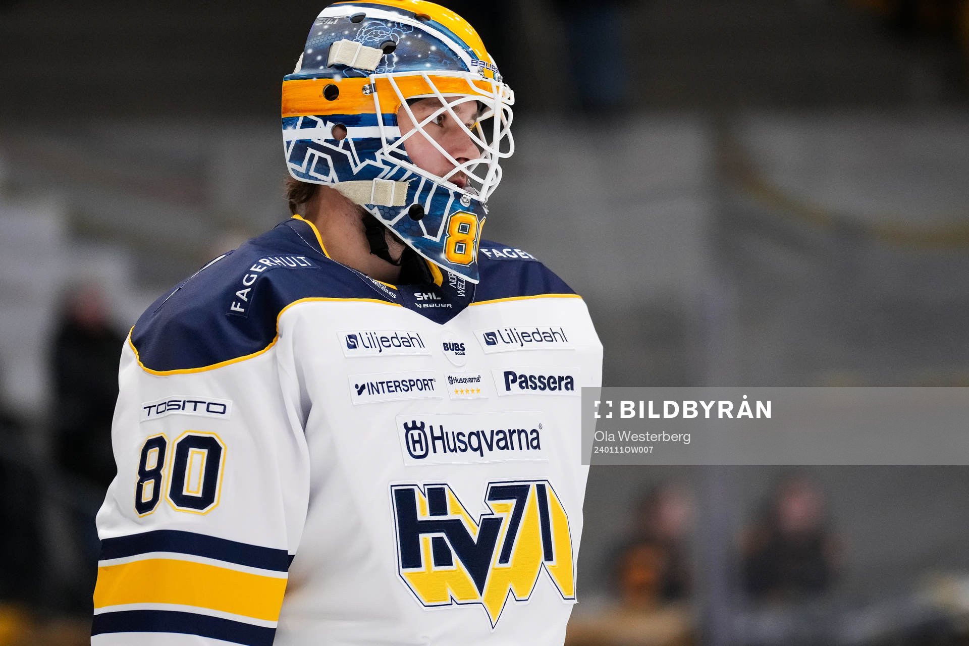 HV71s målvakt Frederik Dichow