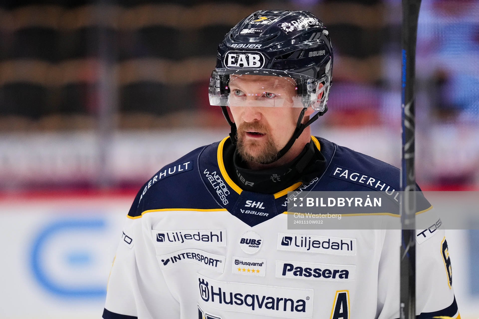 HV71s Anton Strålman