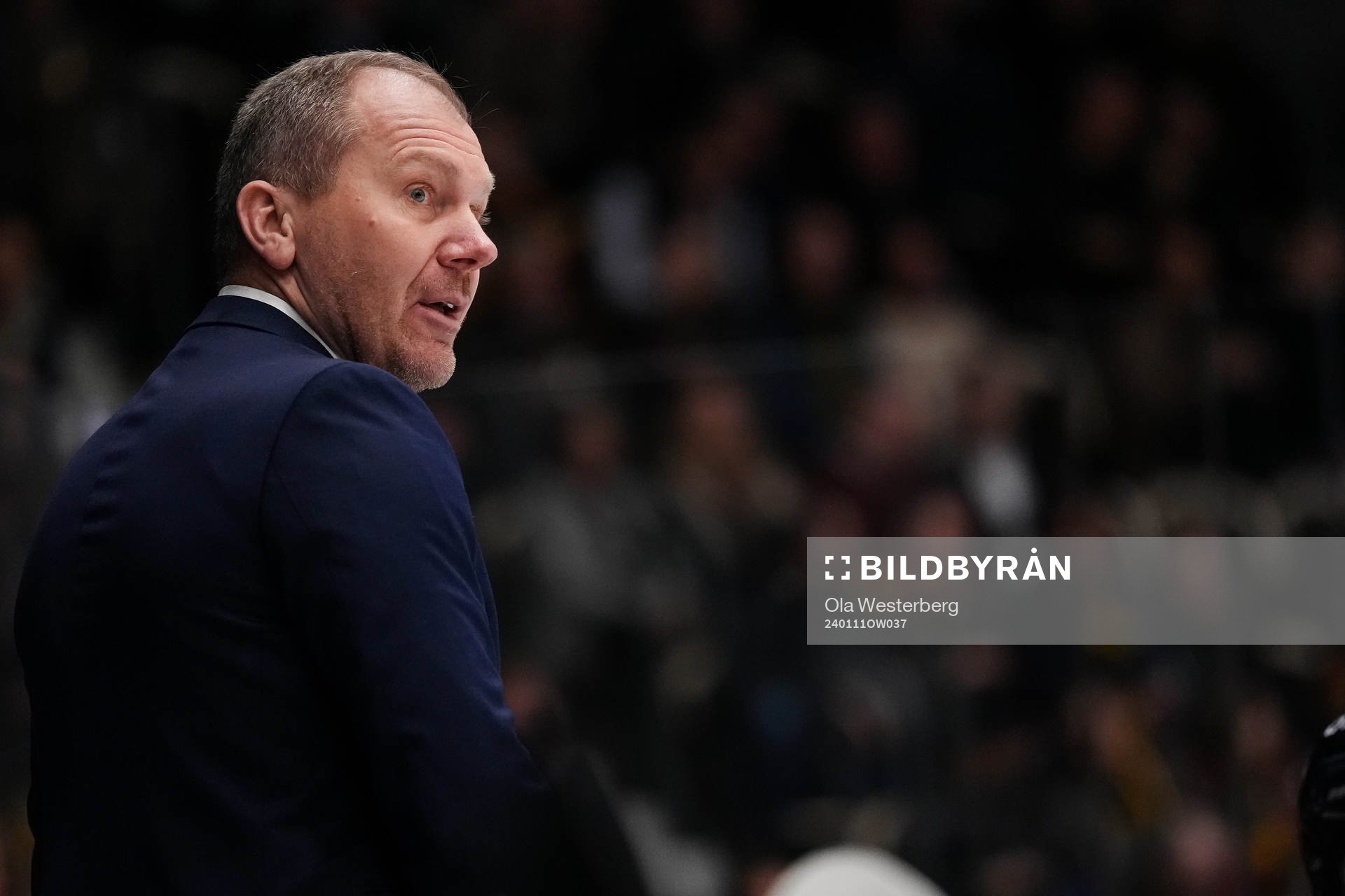 HV71s tränare Johan Lindbom