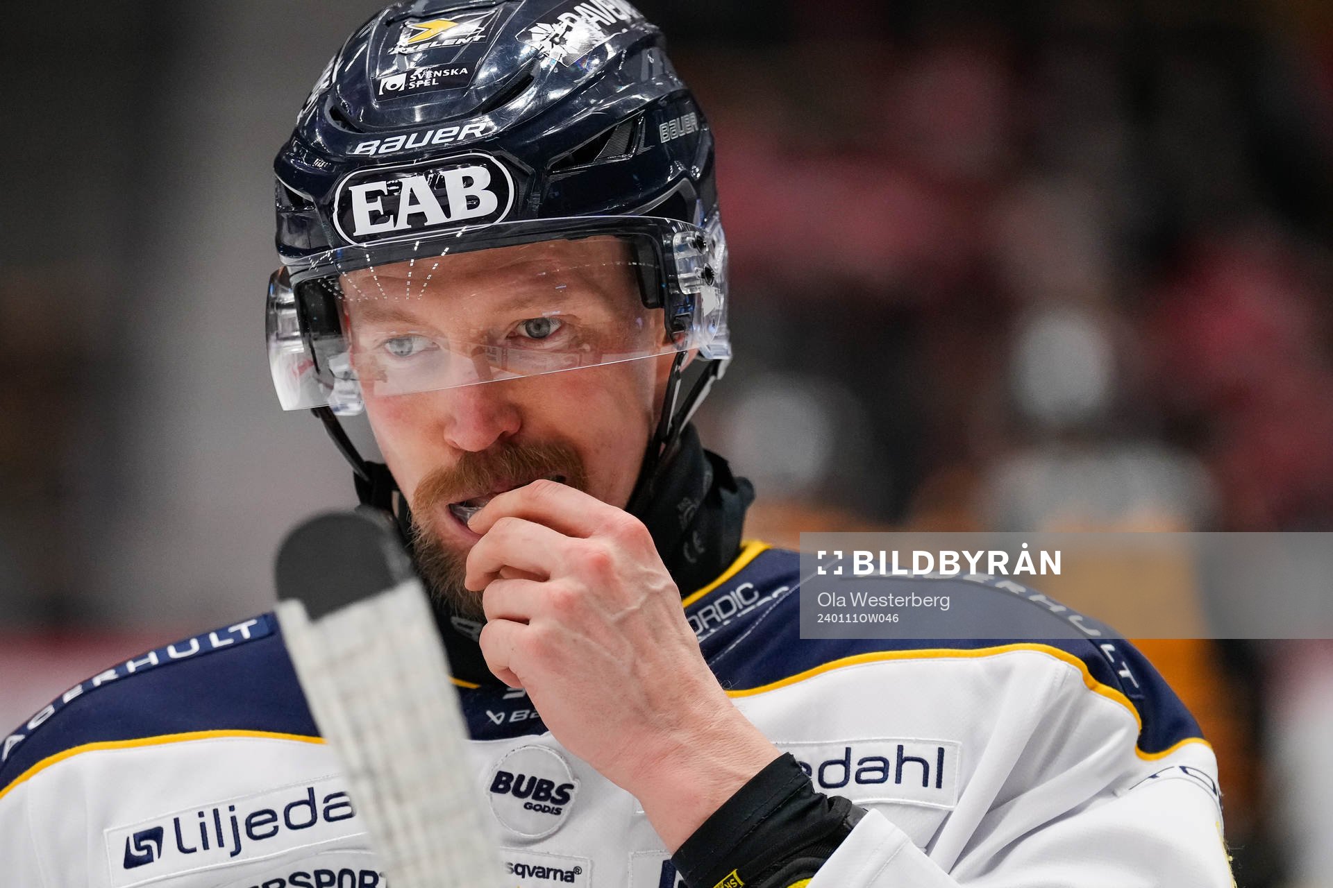 HV71s Anton Strålman