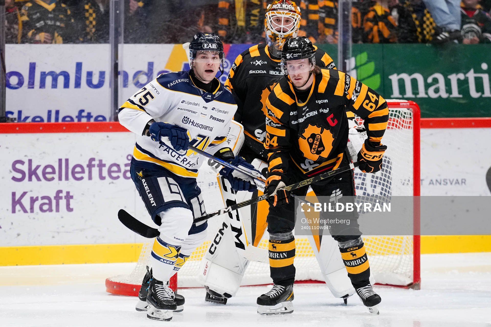 HV71s Radan Lenc och Skellefteås Jonathan Pudas