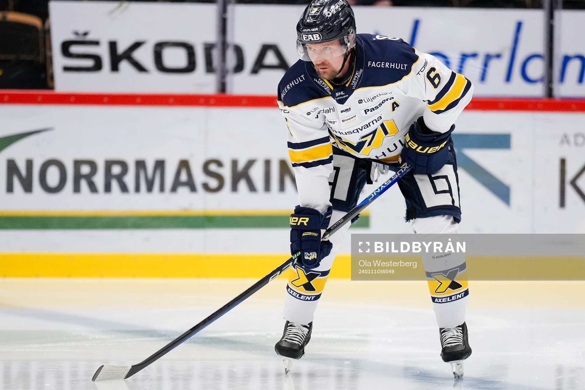 HV71s Anton Strålman