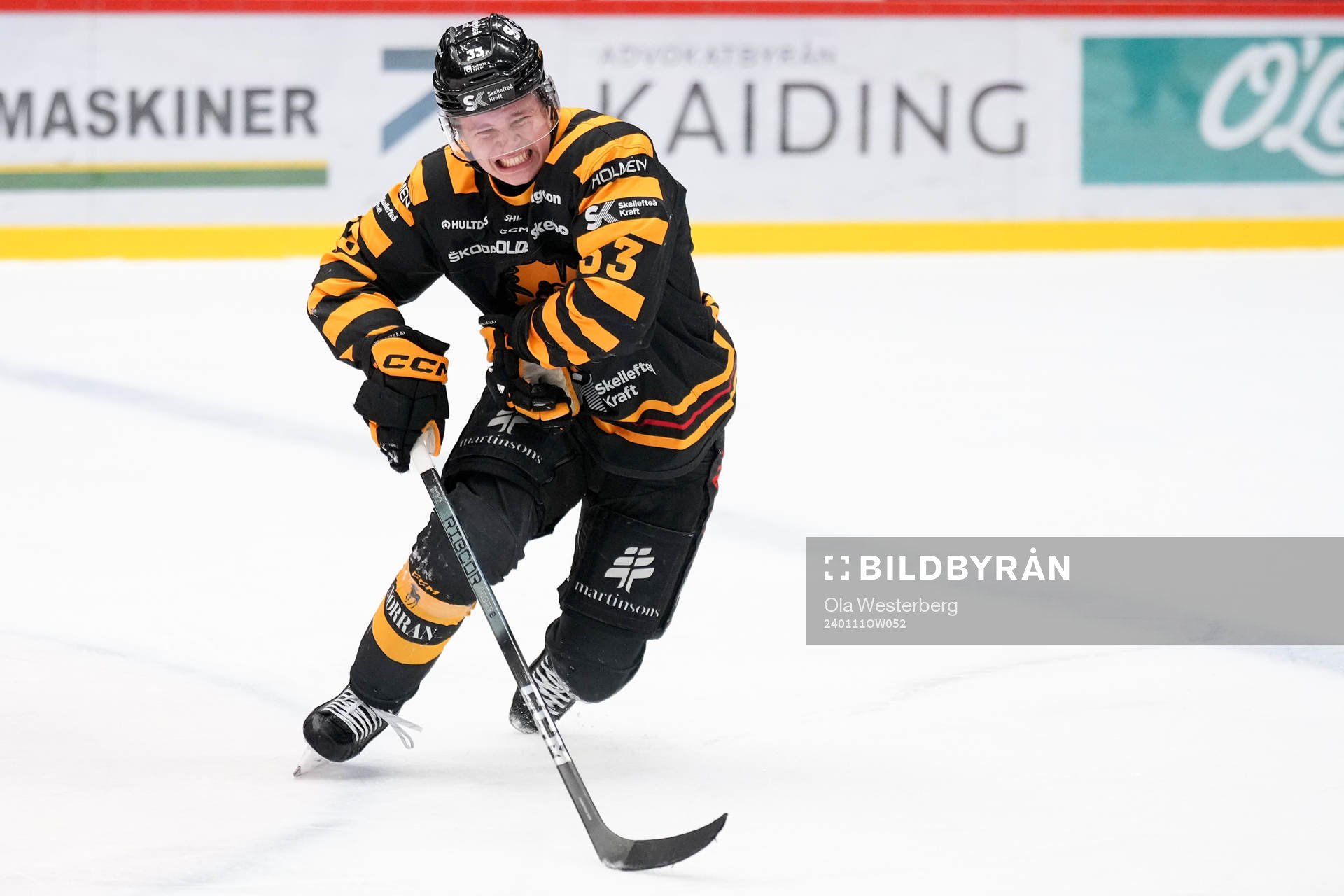 Skellefteås Zeb Forsfjäll