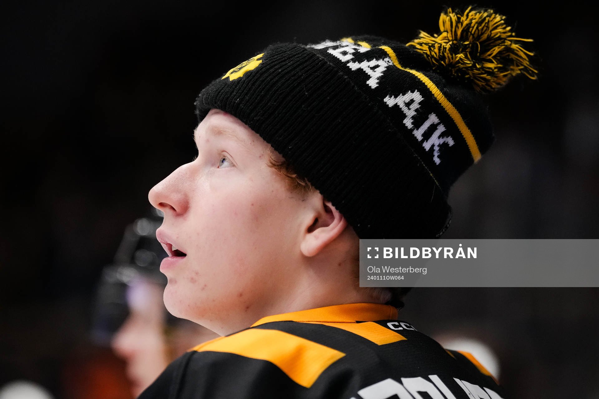 Skellefteås målvakt Carl Axelsson
