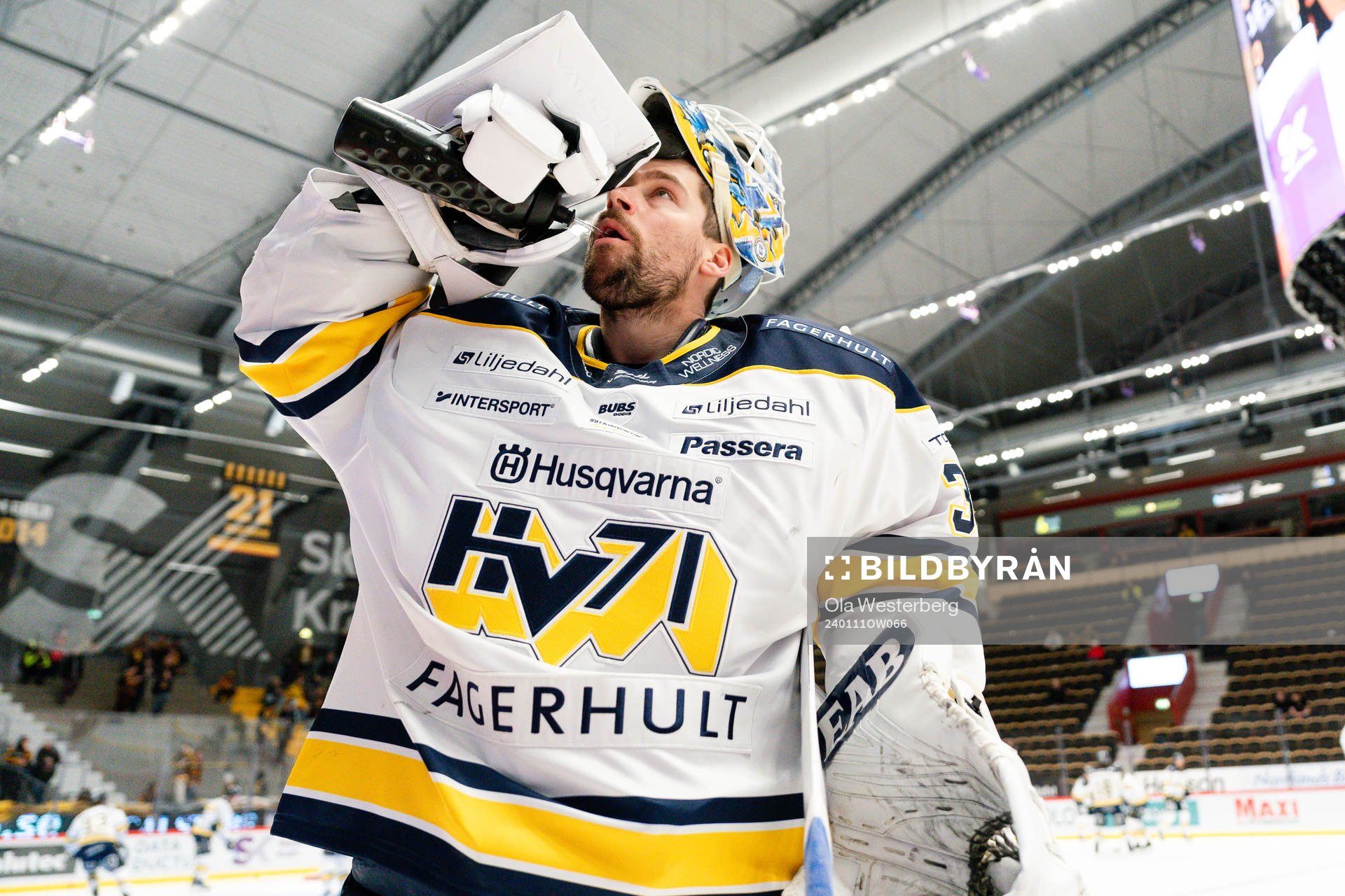 HV71s målvakt Joni Ortio