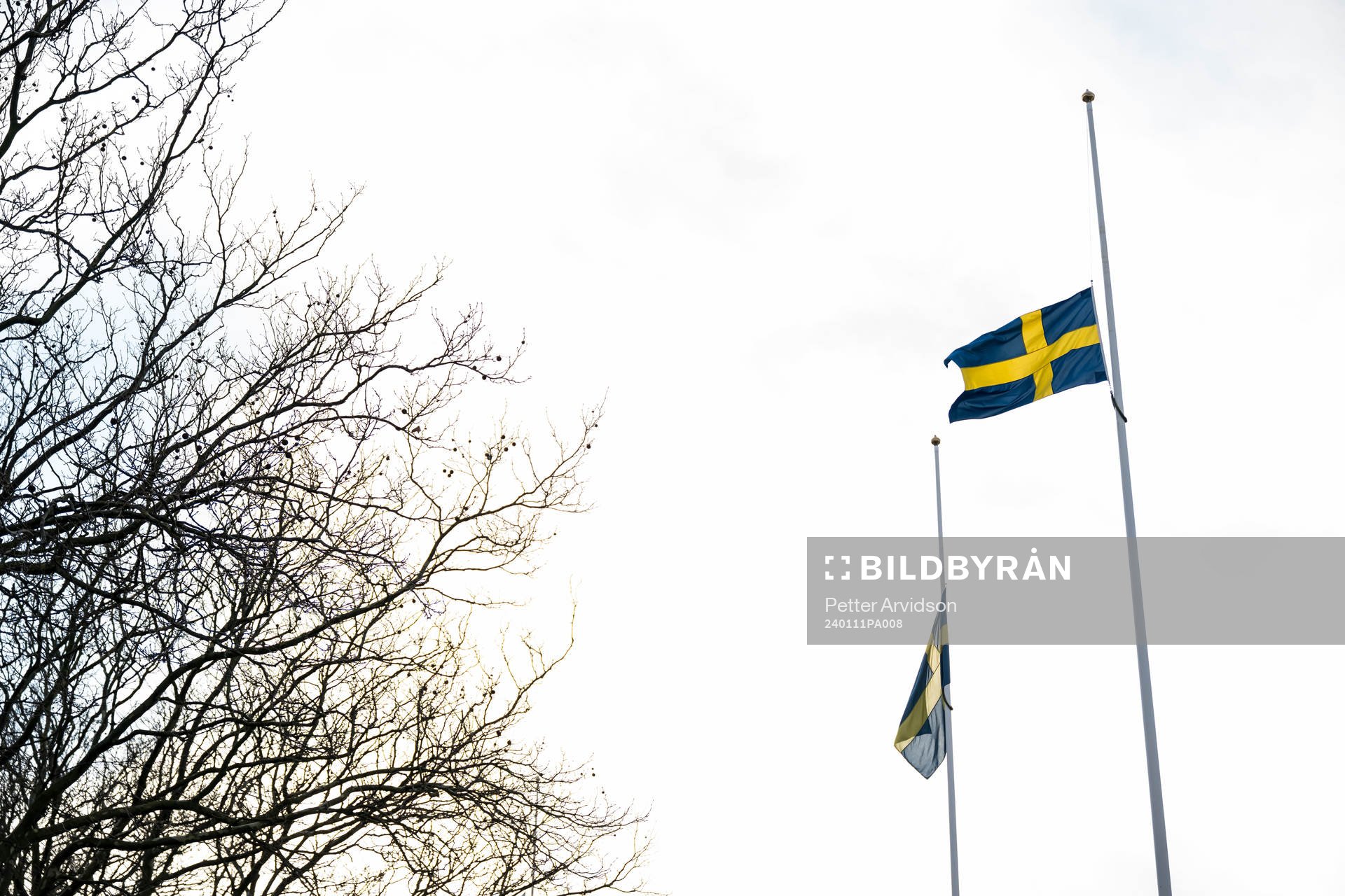 Flaggor på halvstång
