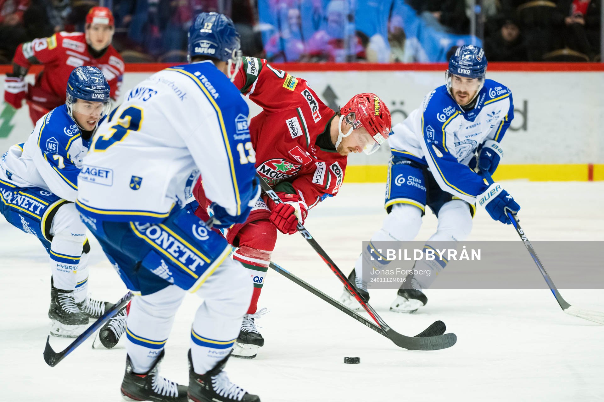 Leksands Riley Woods