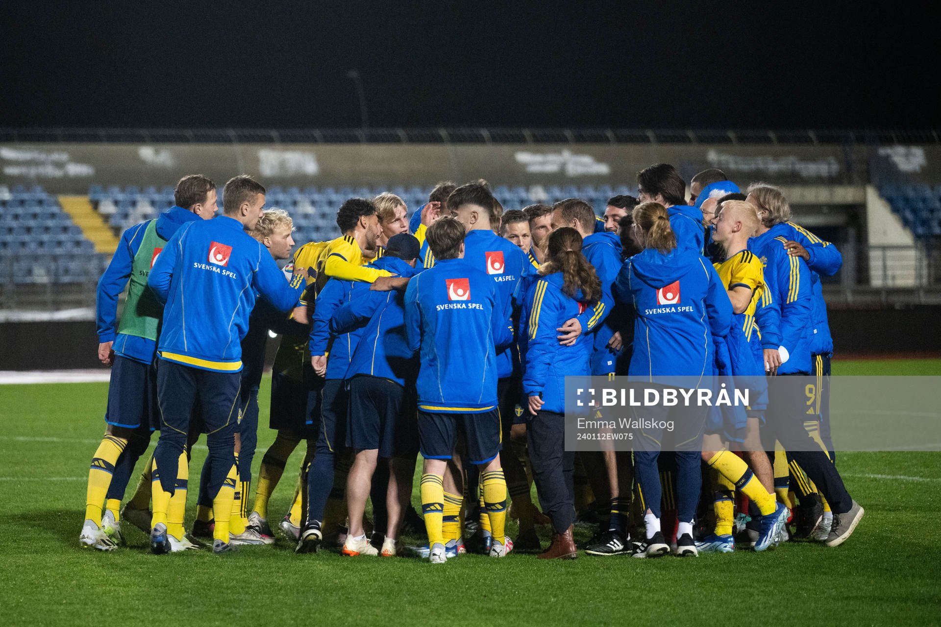 Players of Sweden