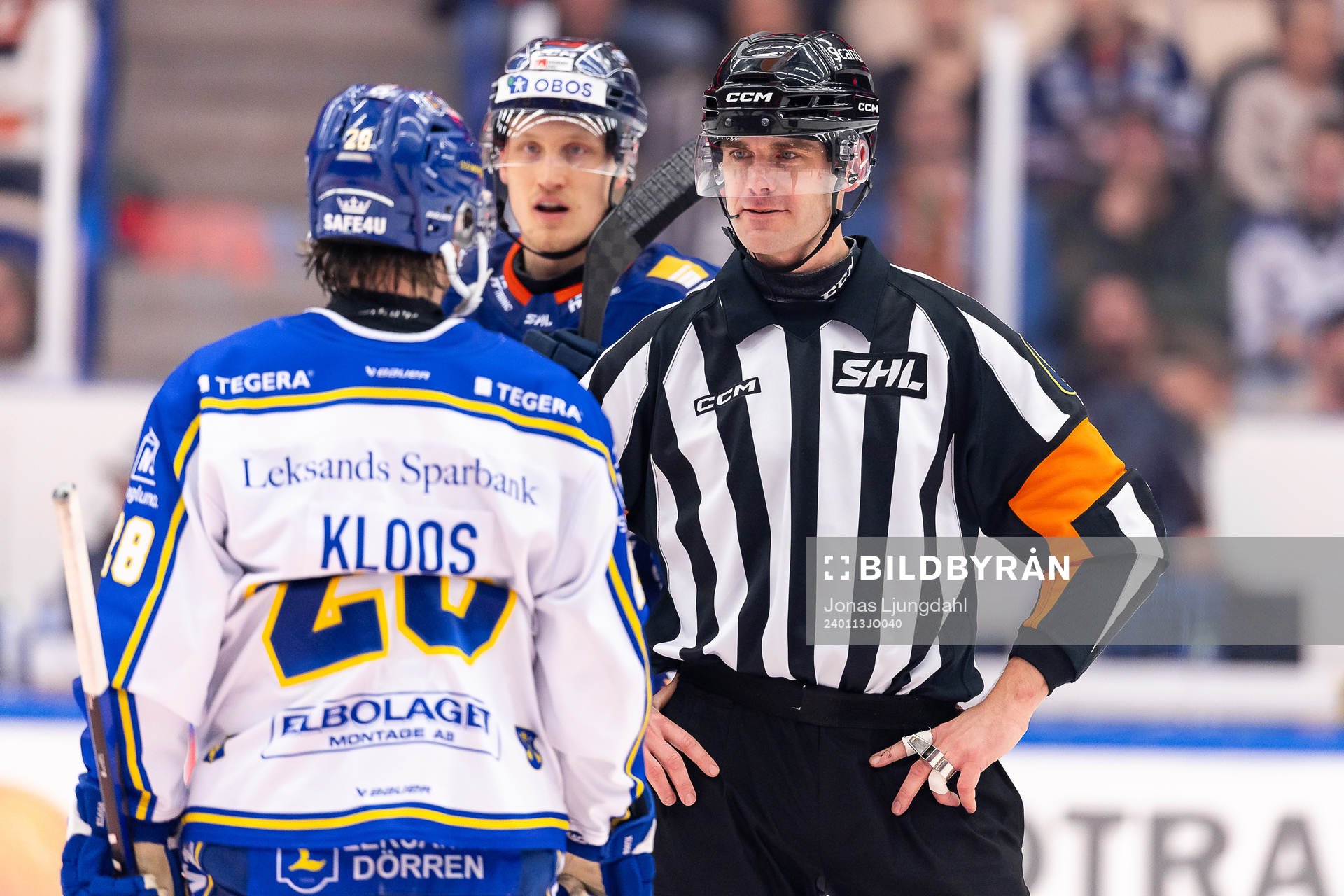 Domare Richard Magnusson