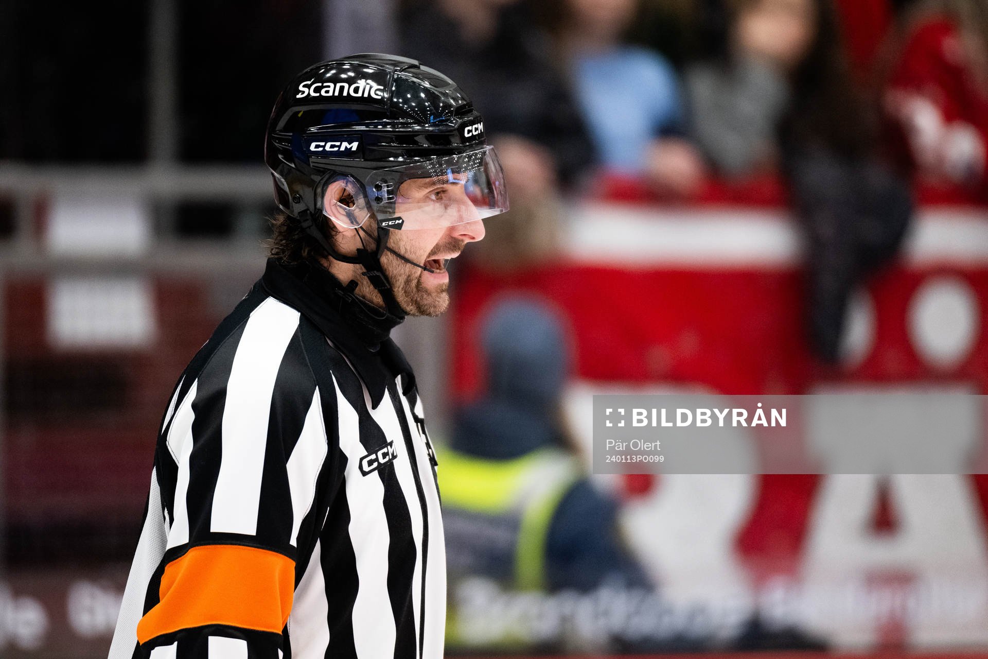 Domaren Mikael Sjöqvist
