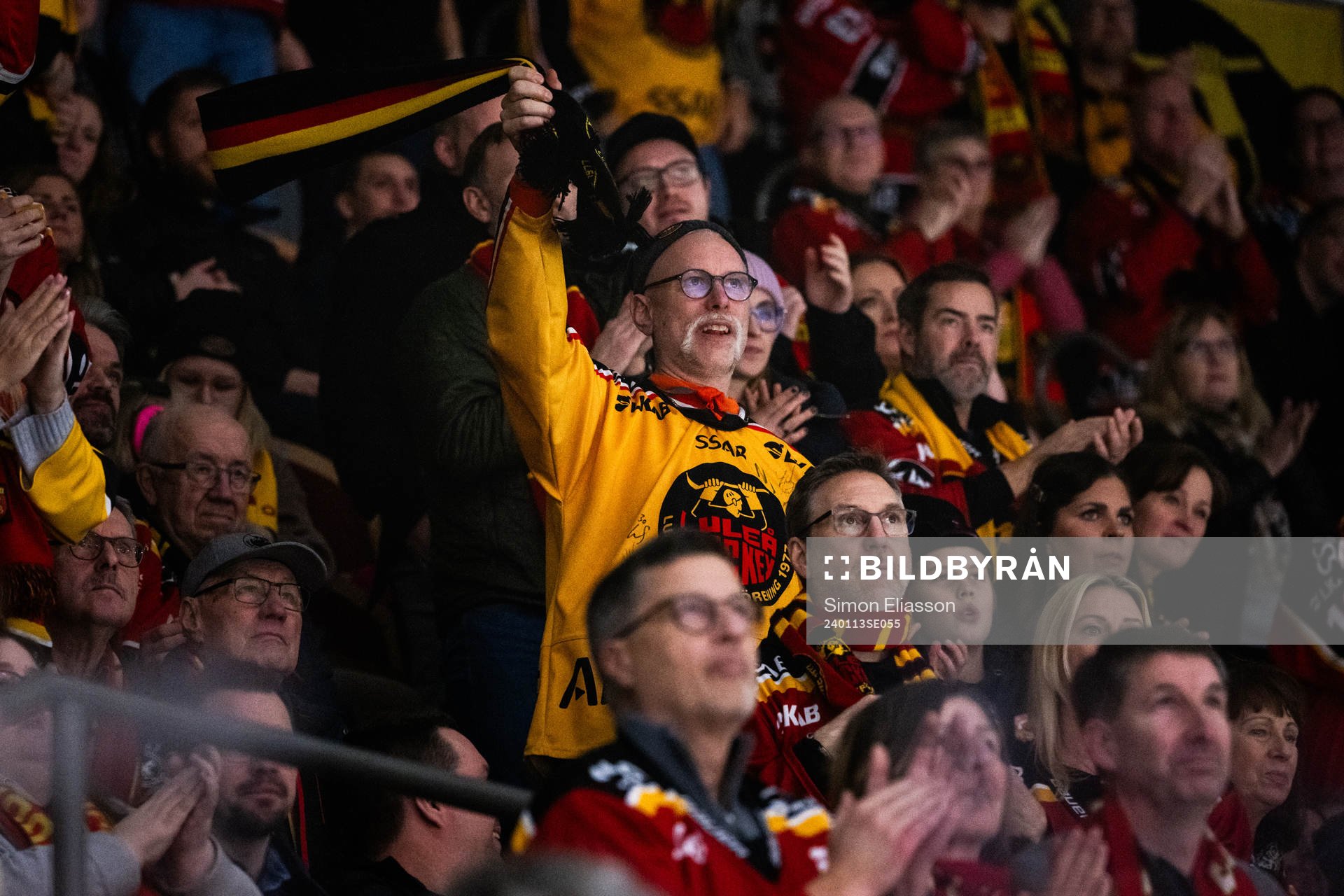 Luleås supportrar
