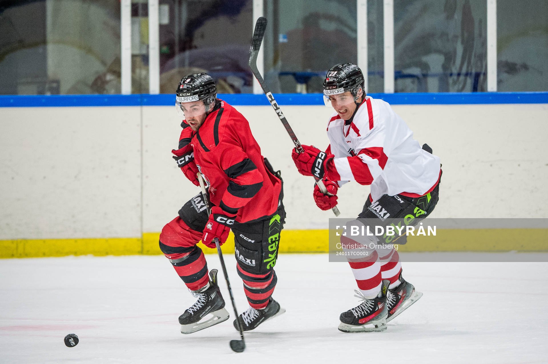 Malmö Redhawks Alan Quine och Janne Kuokkanen