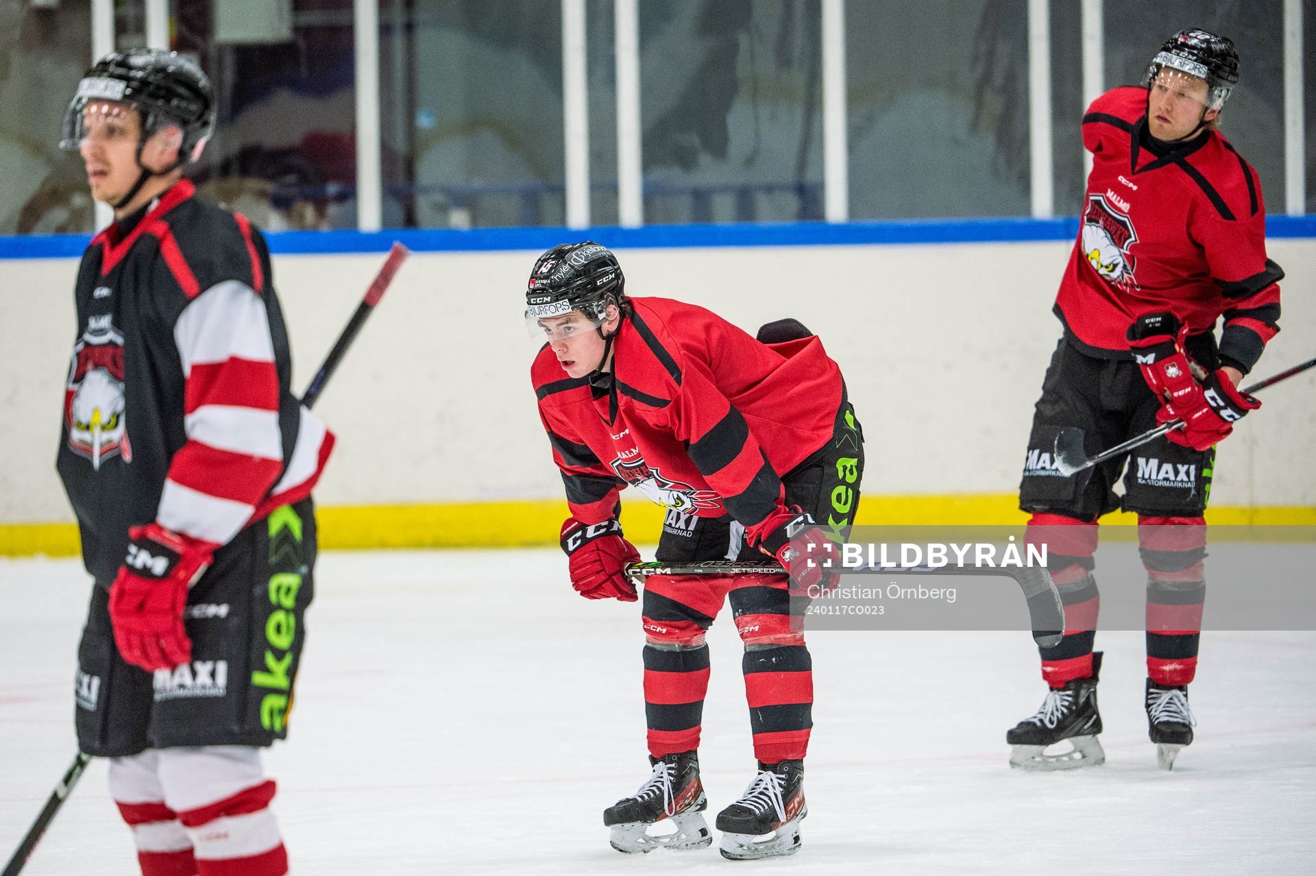 Malmö Redhawks Hjalte Kruse Thomsen