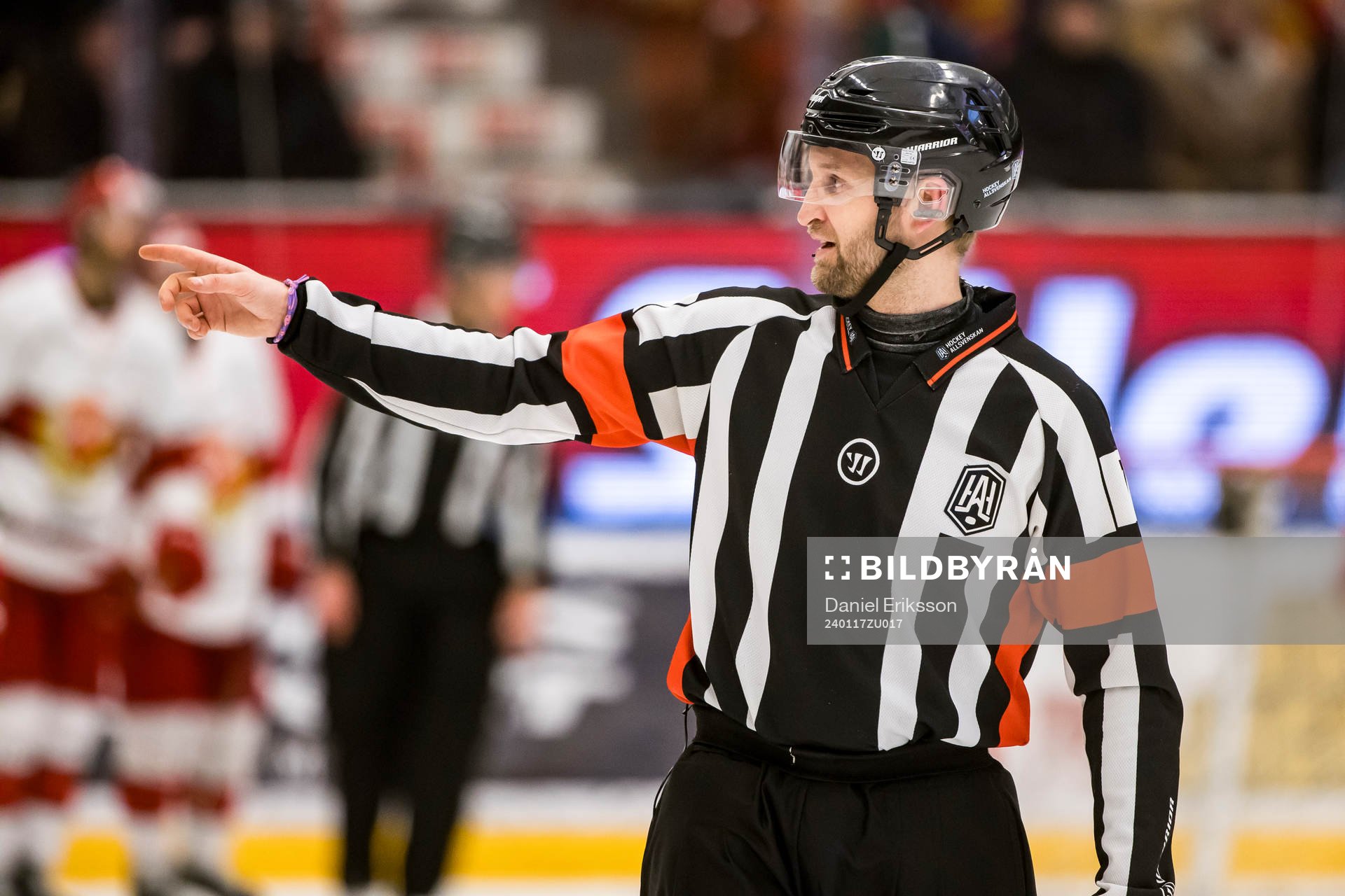 Domare Niklas Johansson