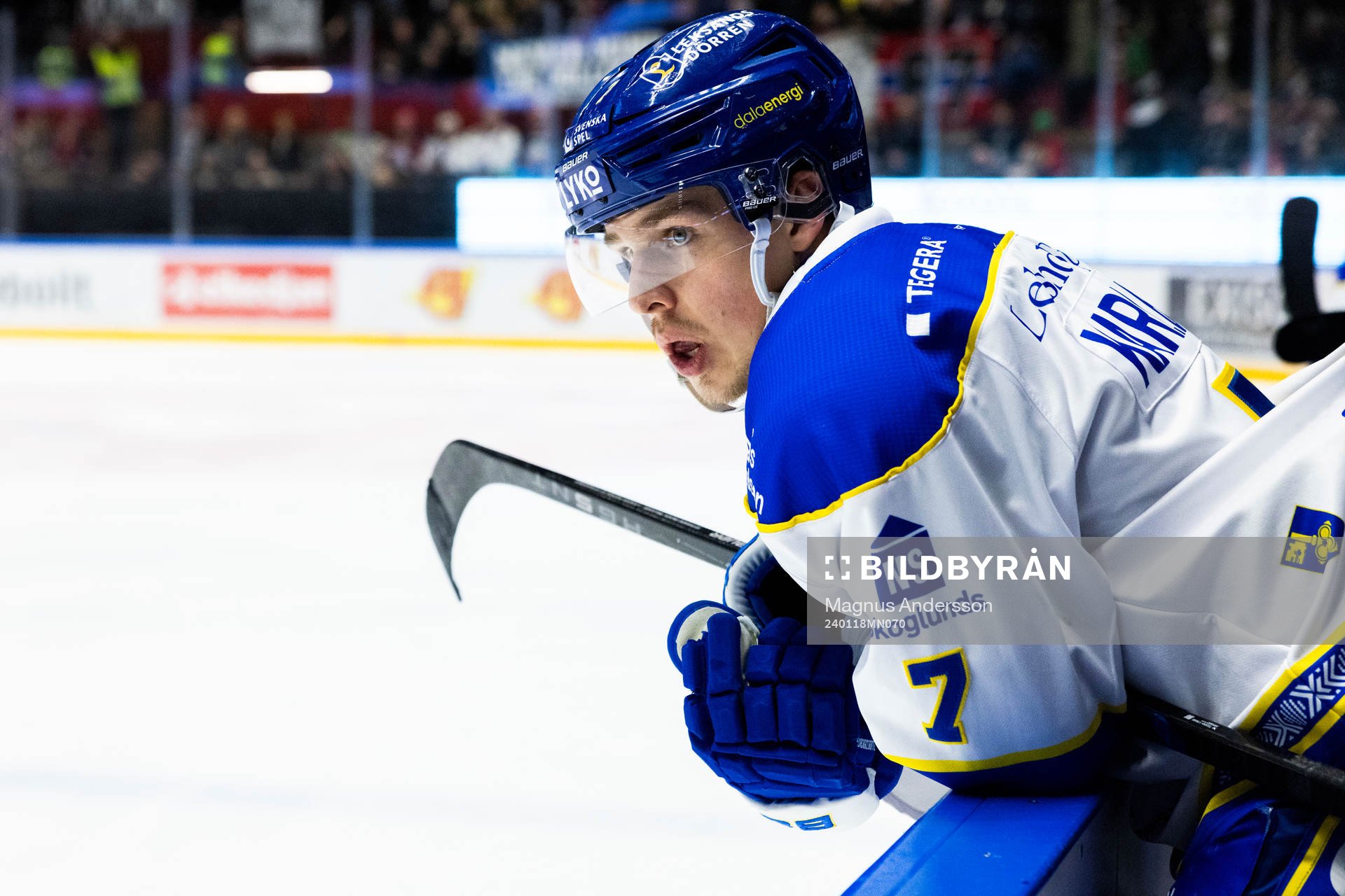 Leksands Marcus Karlberg