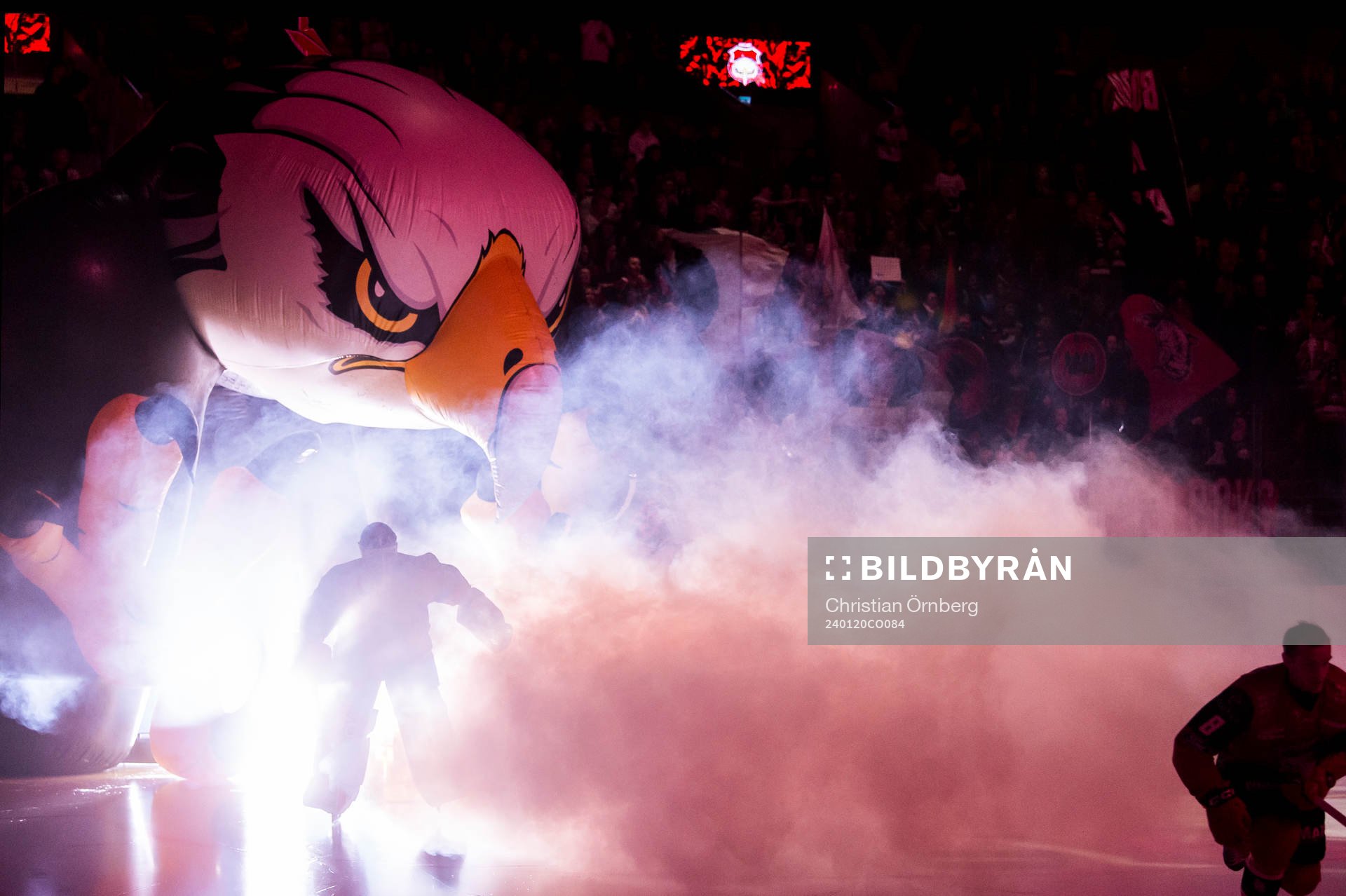 Malmö Redhawks spelare gör entré innan ishockeymatchen i