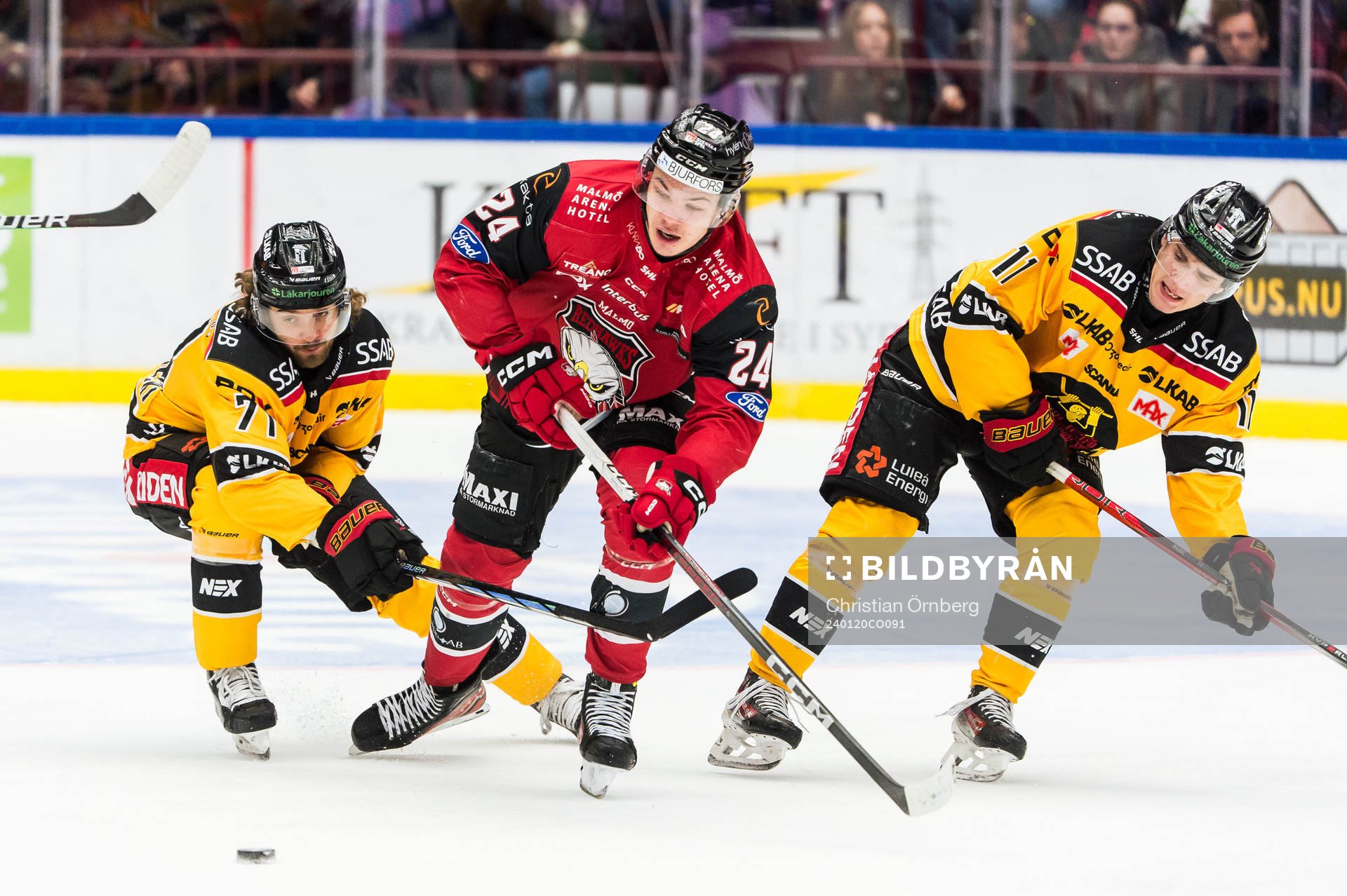 Malmö Redhawks Anton Wahlberg och Luleås Adam Brodecki