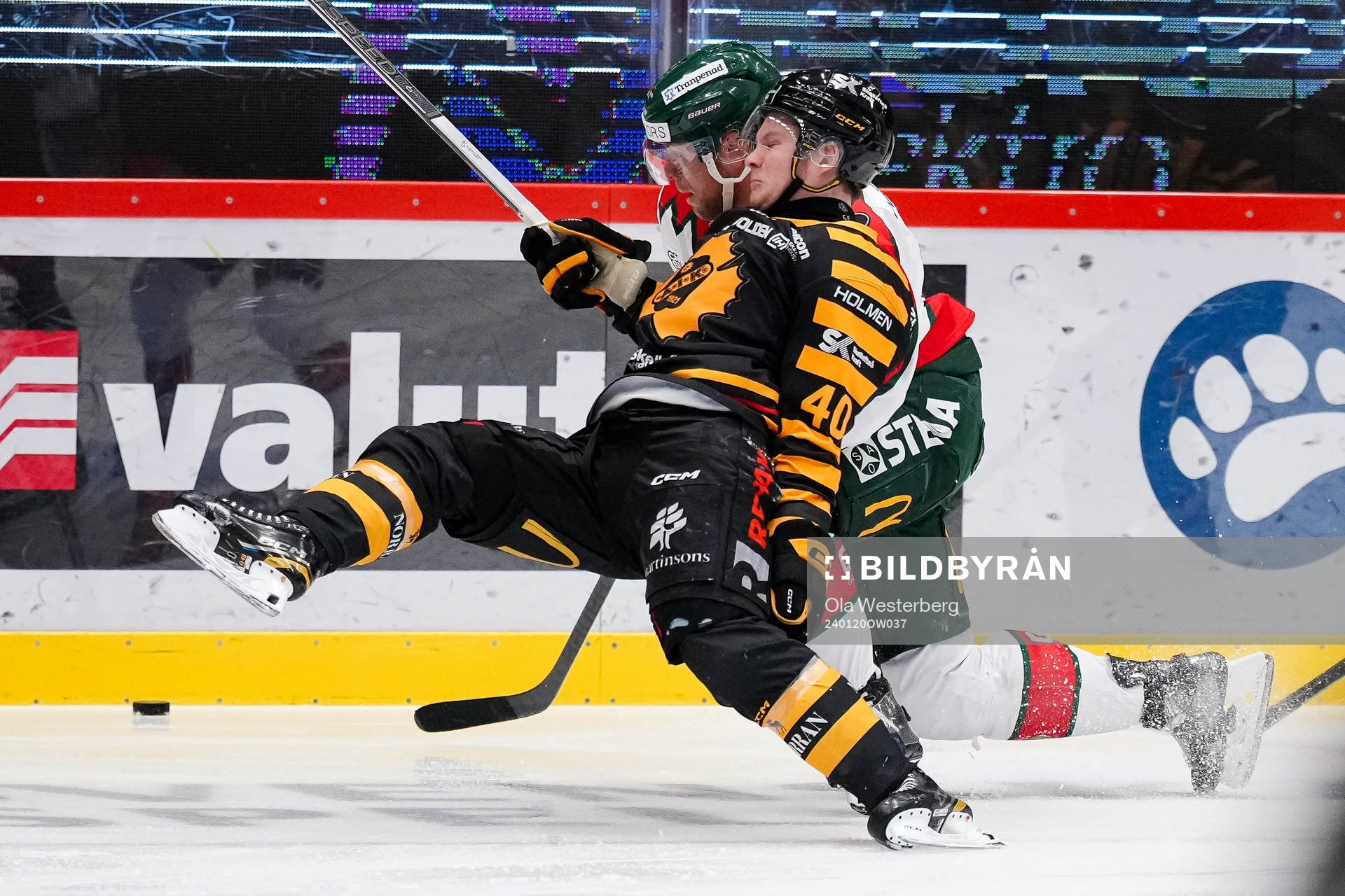 Skellefteås Anton Heikkinen