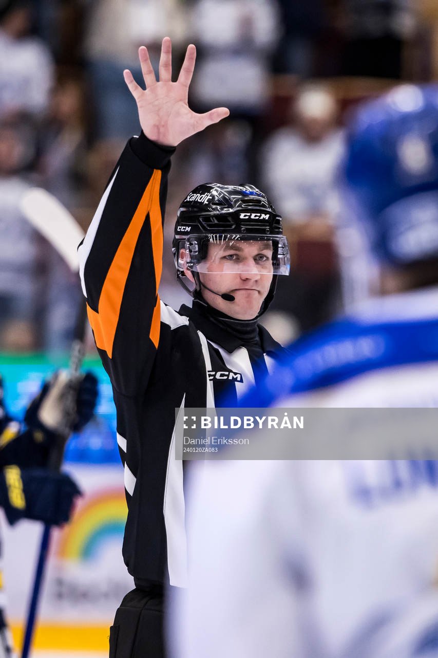 Domare Daniel Eriksson