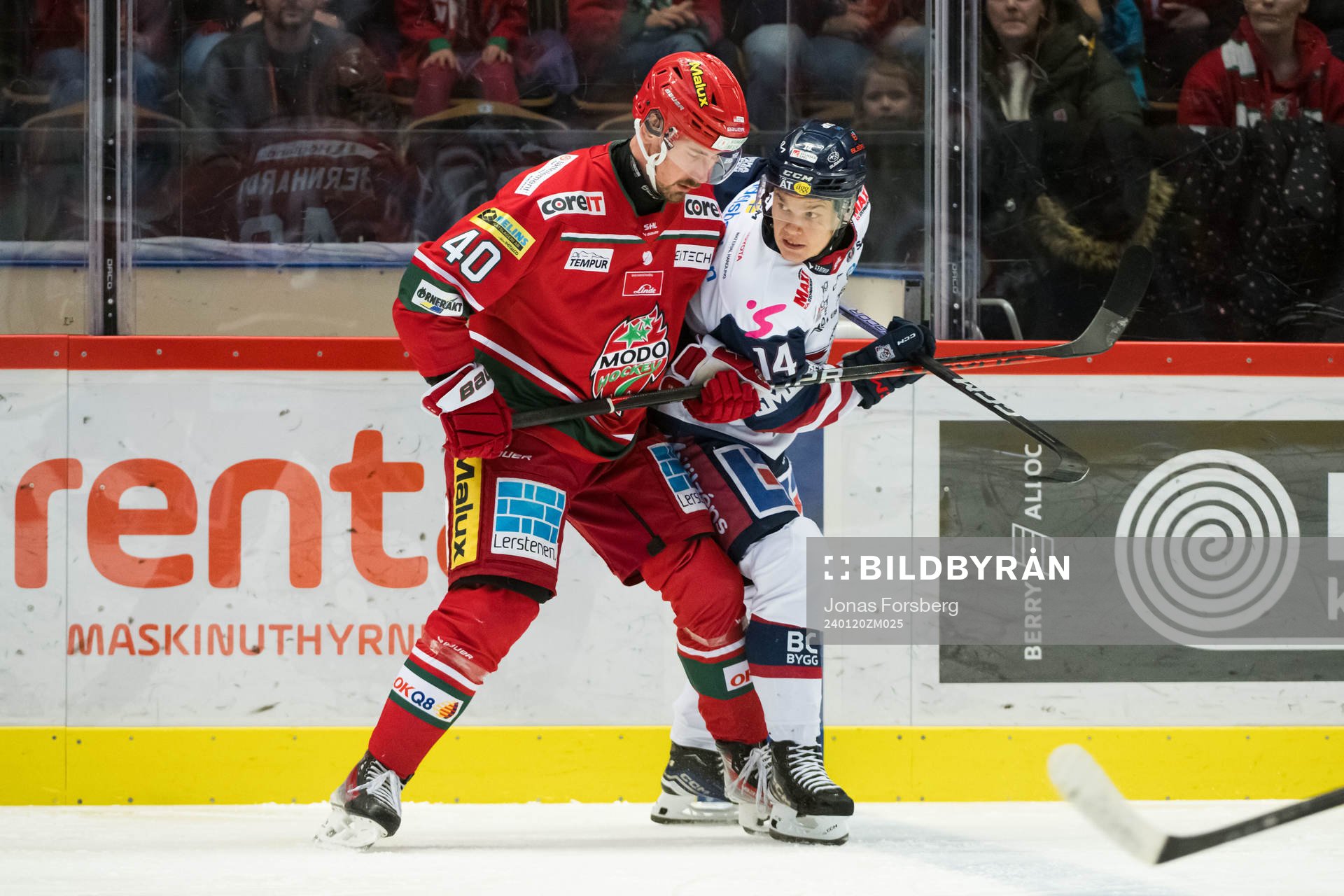MoDos David Bernhardt och Linköpings Arvid Costmar