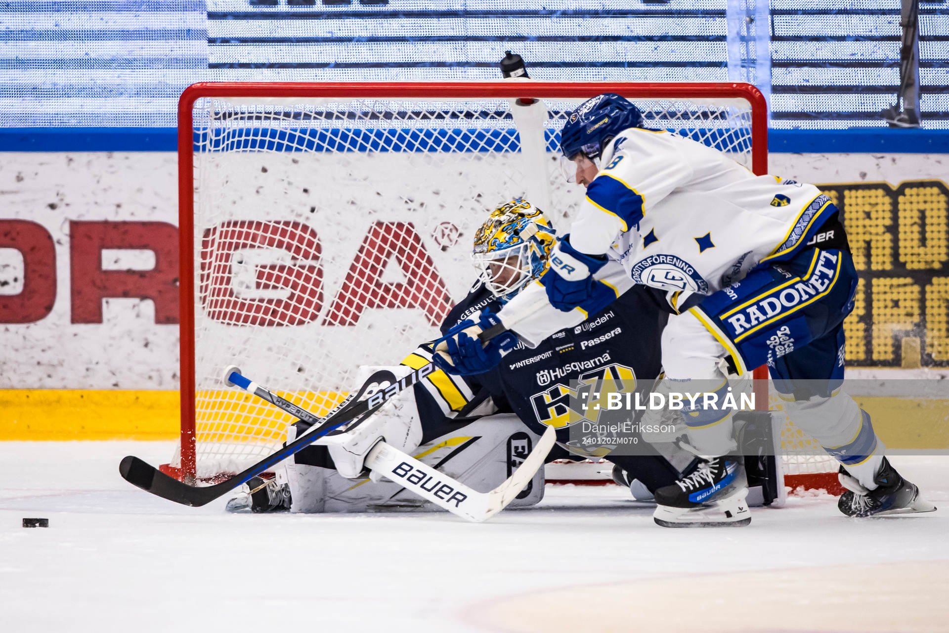 HV71s målvakt Joni Ortio