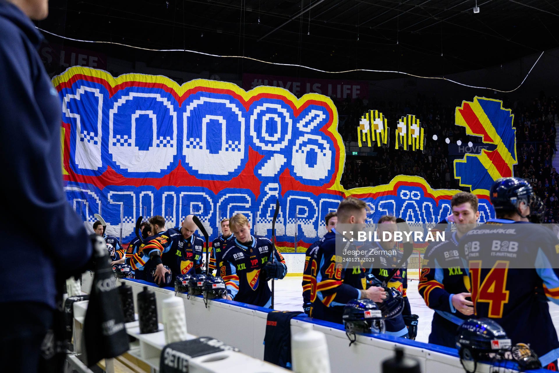 Djurgårdens supportrar med tifo