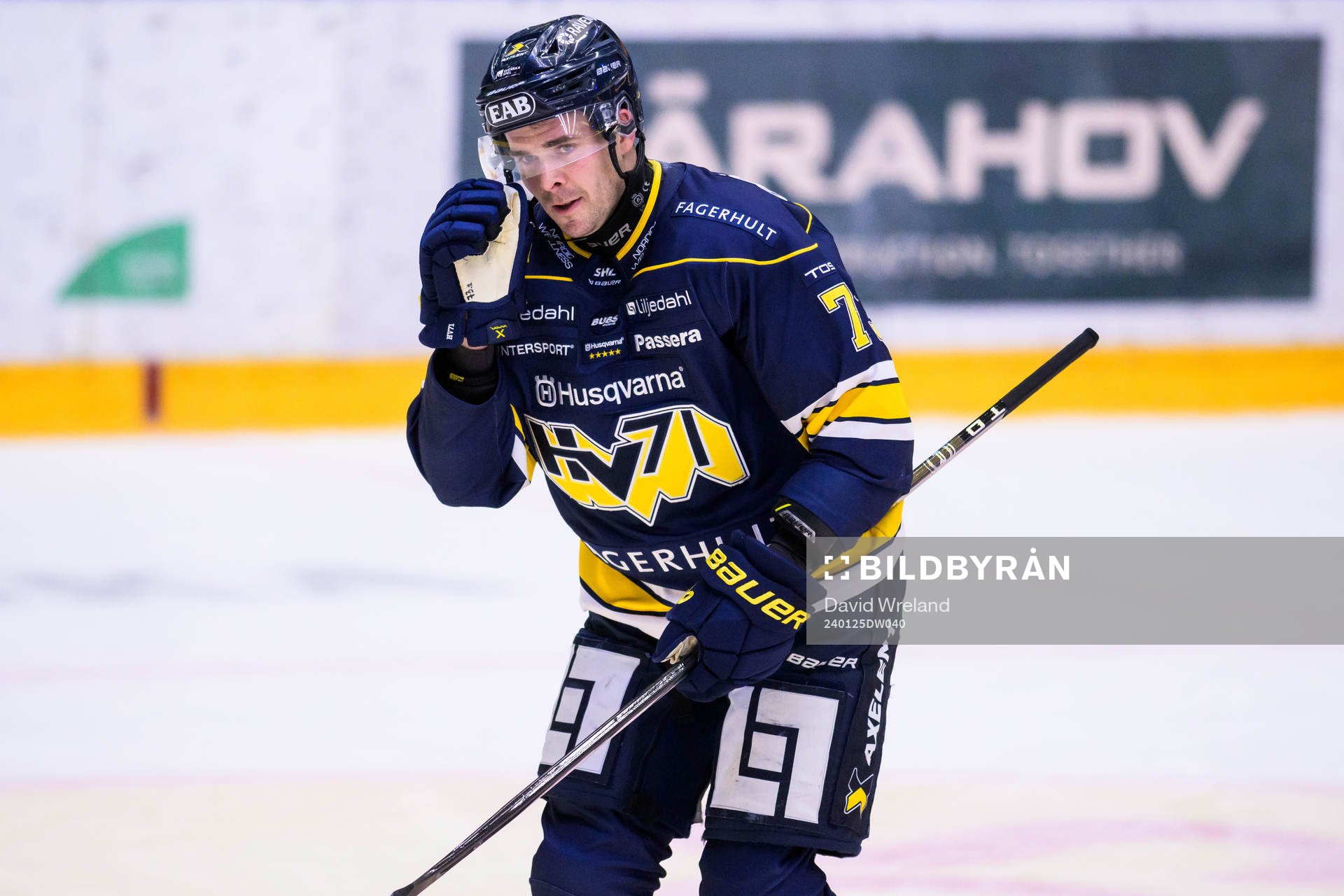 HV71s Nicholas Shore jublar