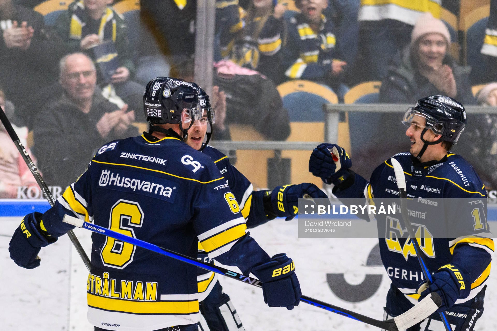HV71s Nicholas Shore jublar