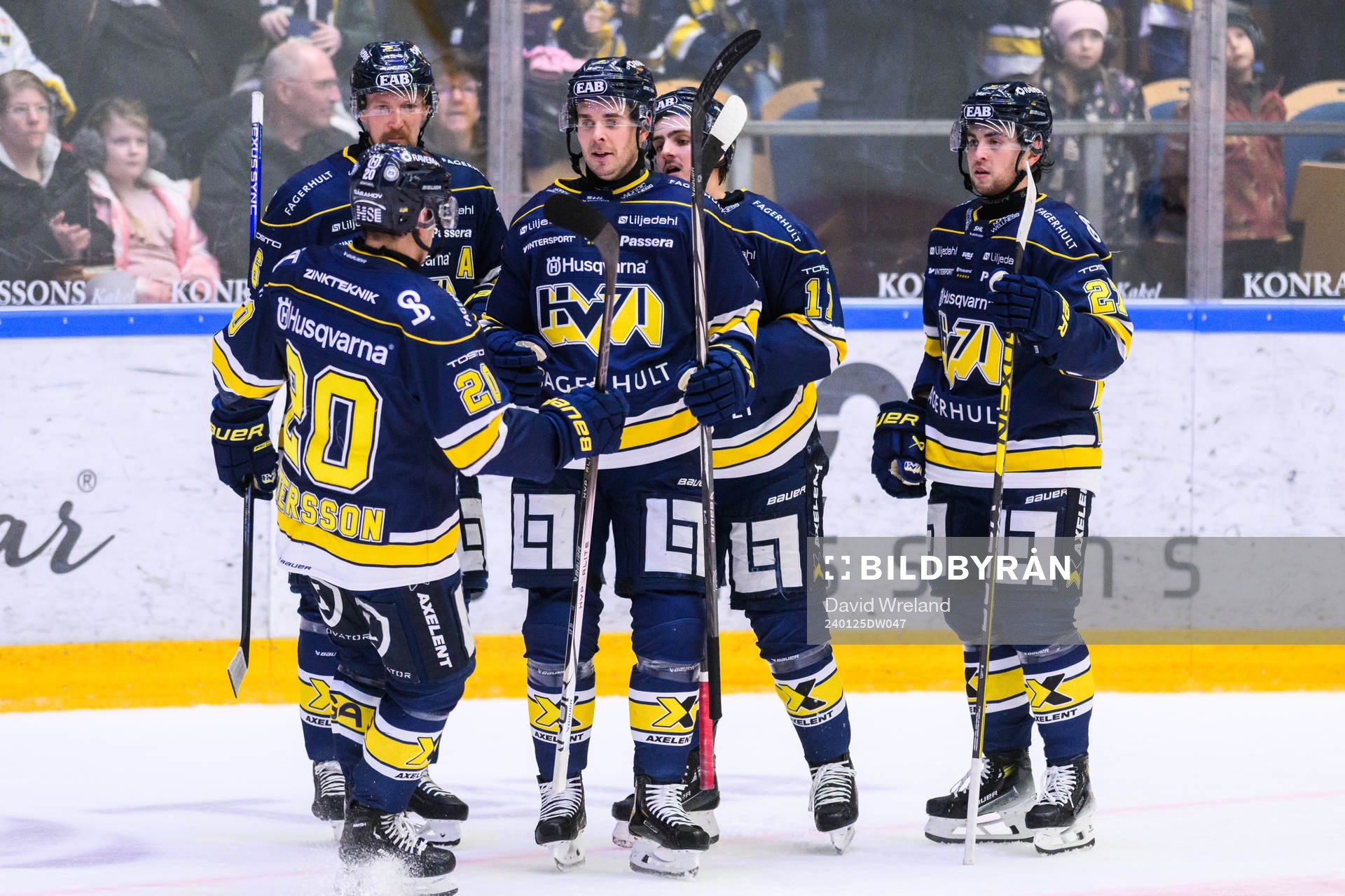 HV71s Nicholas Shore jublar