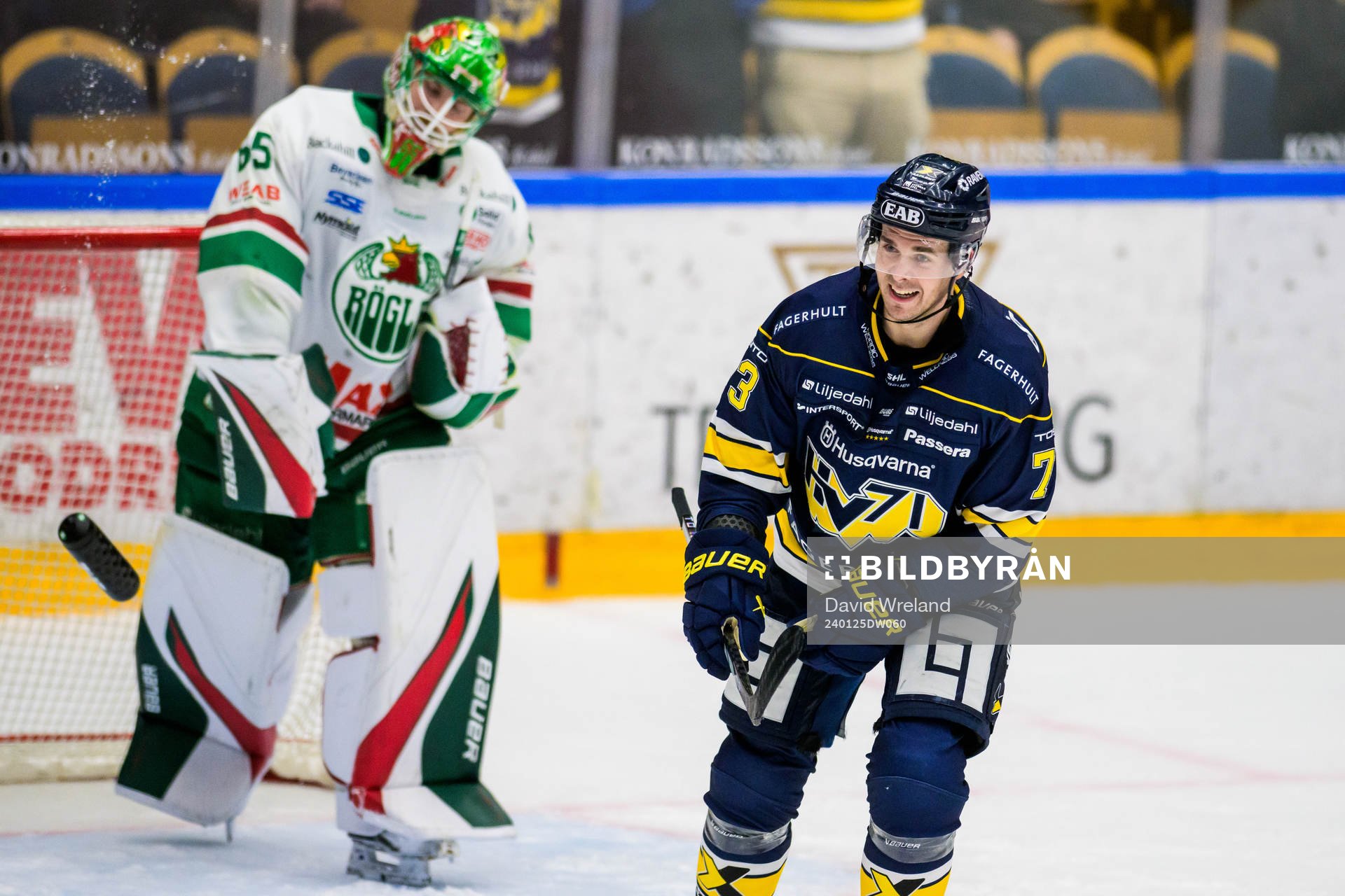 HV71s Nicholas Shore jublar