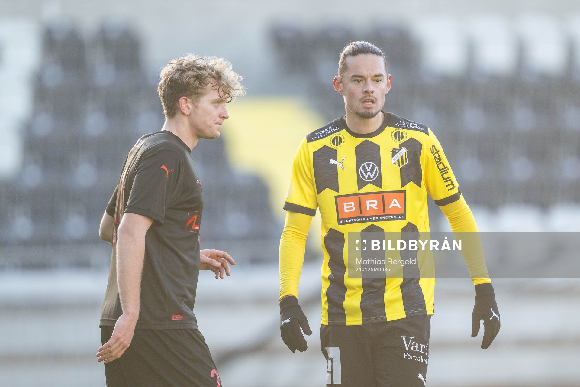 Häckens Amor Layouni