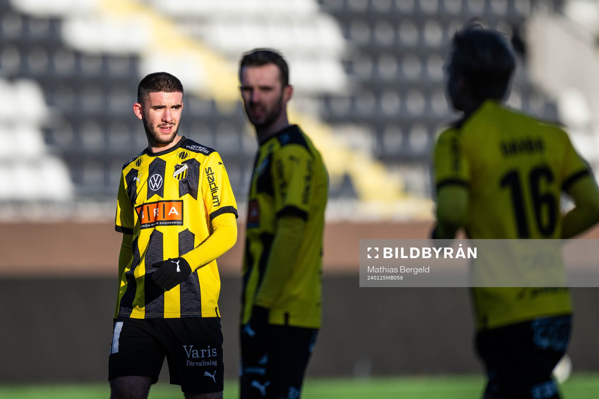 Häckens Albin Gashi
