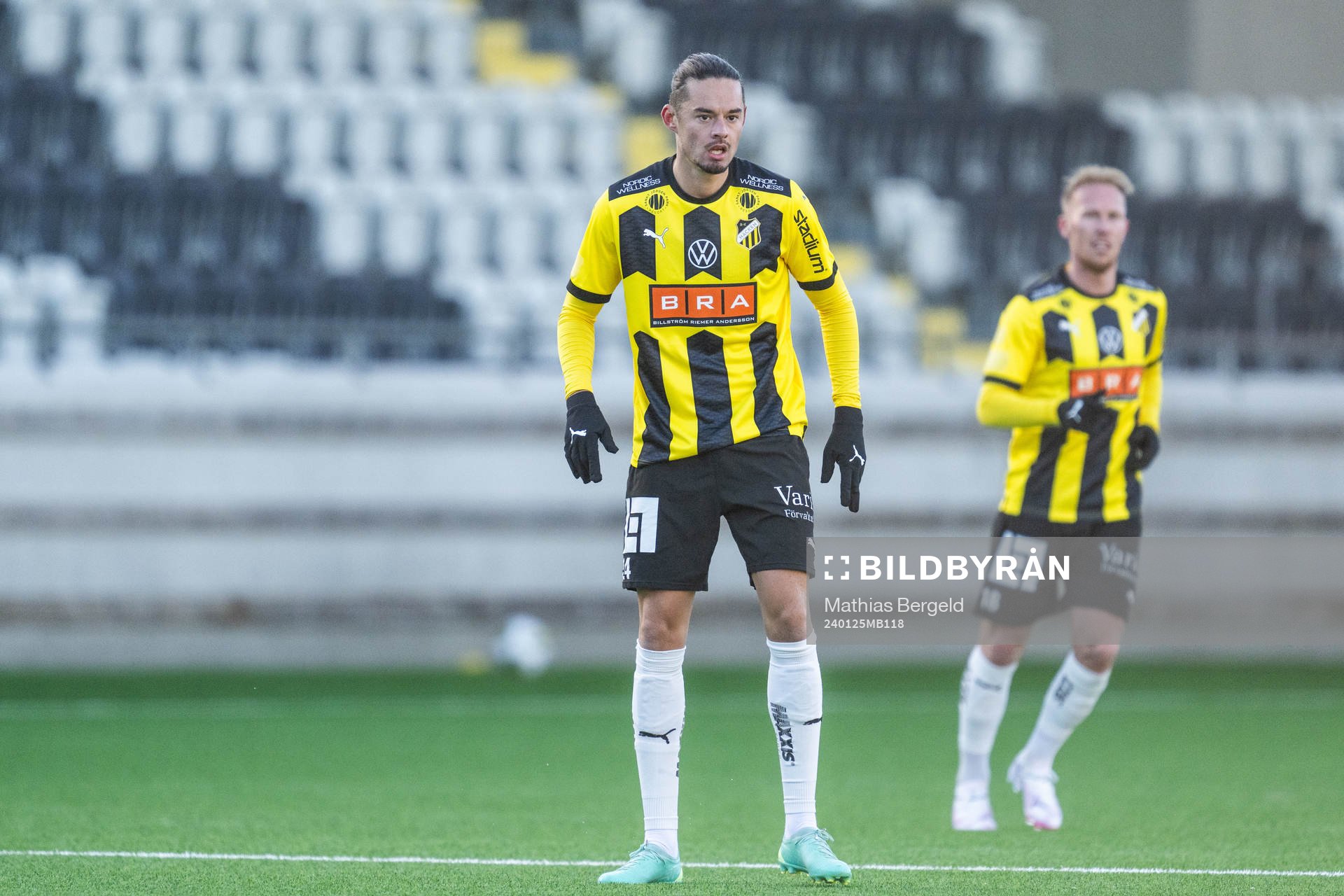 Häckens Amor Layouni