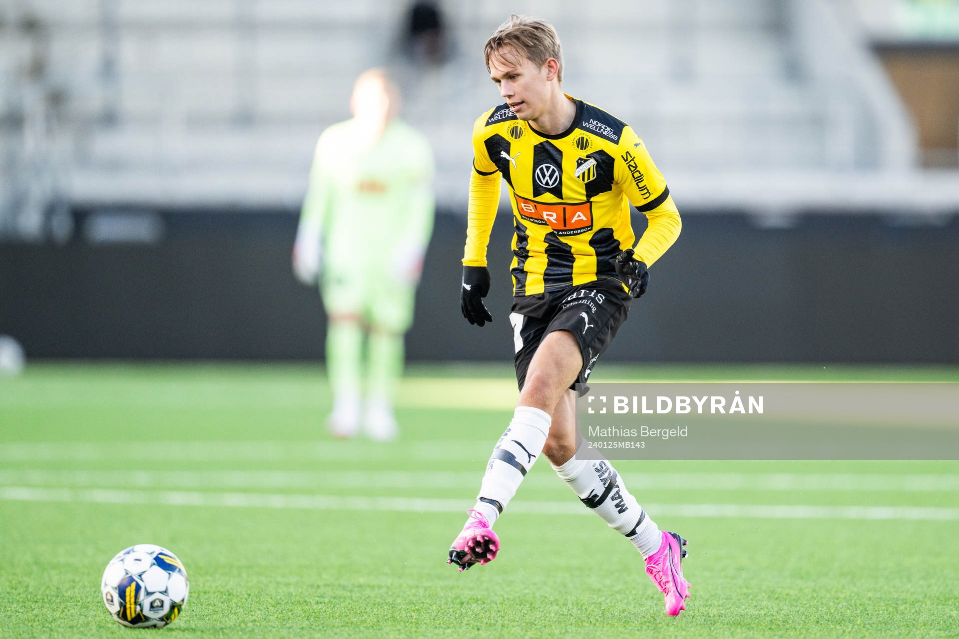 Häckens Pontus Dahbo