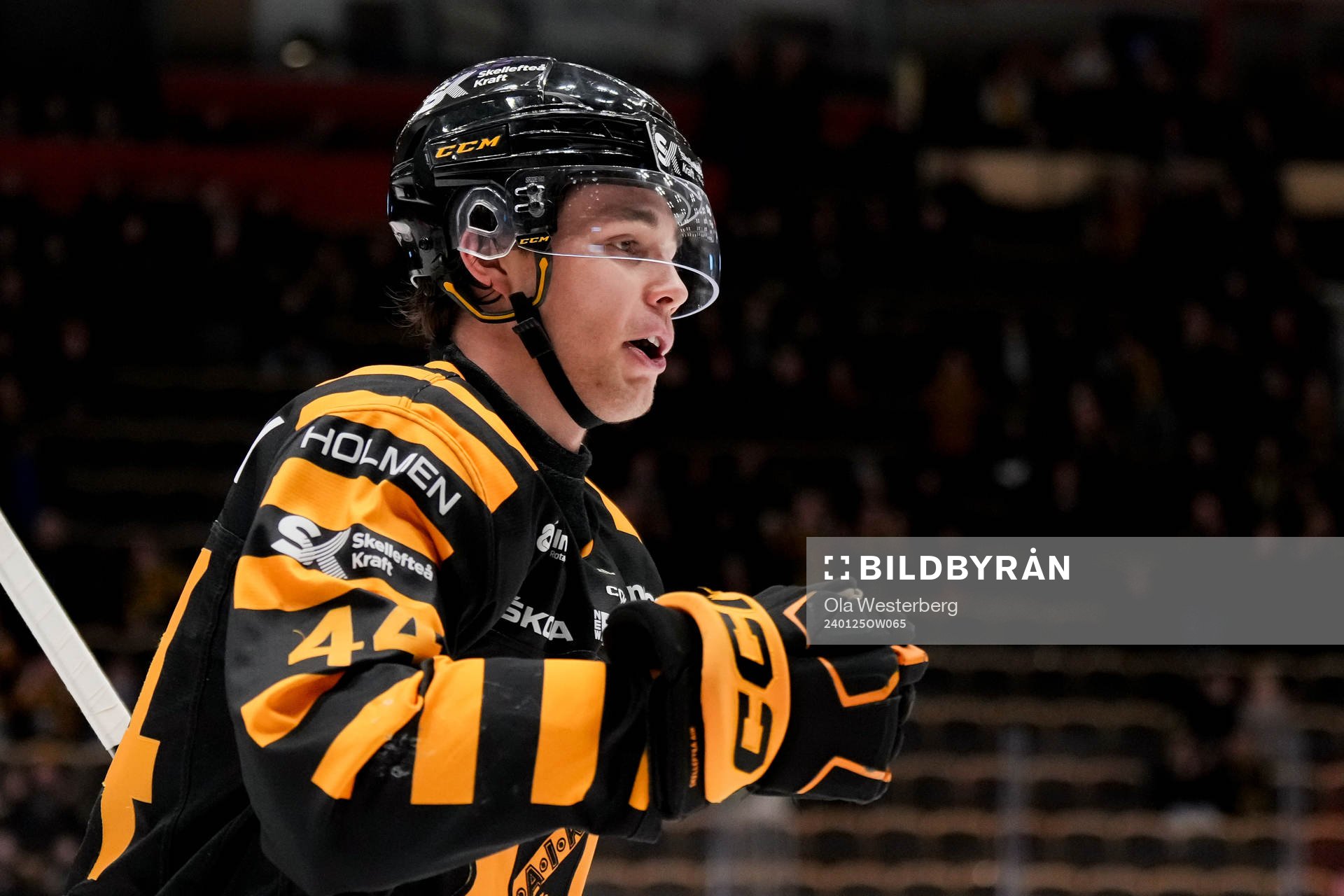 Skellefteås Elias Salomonsson jublar