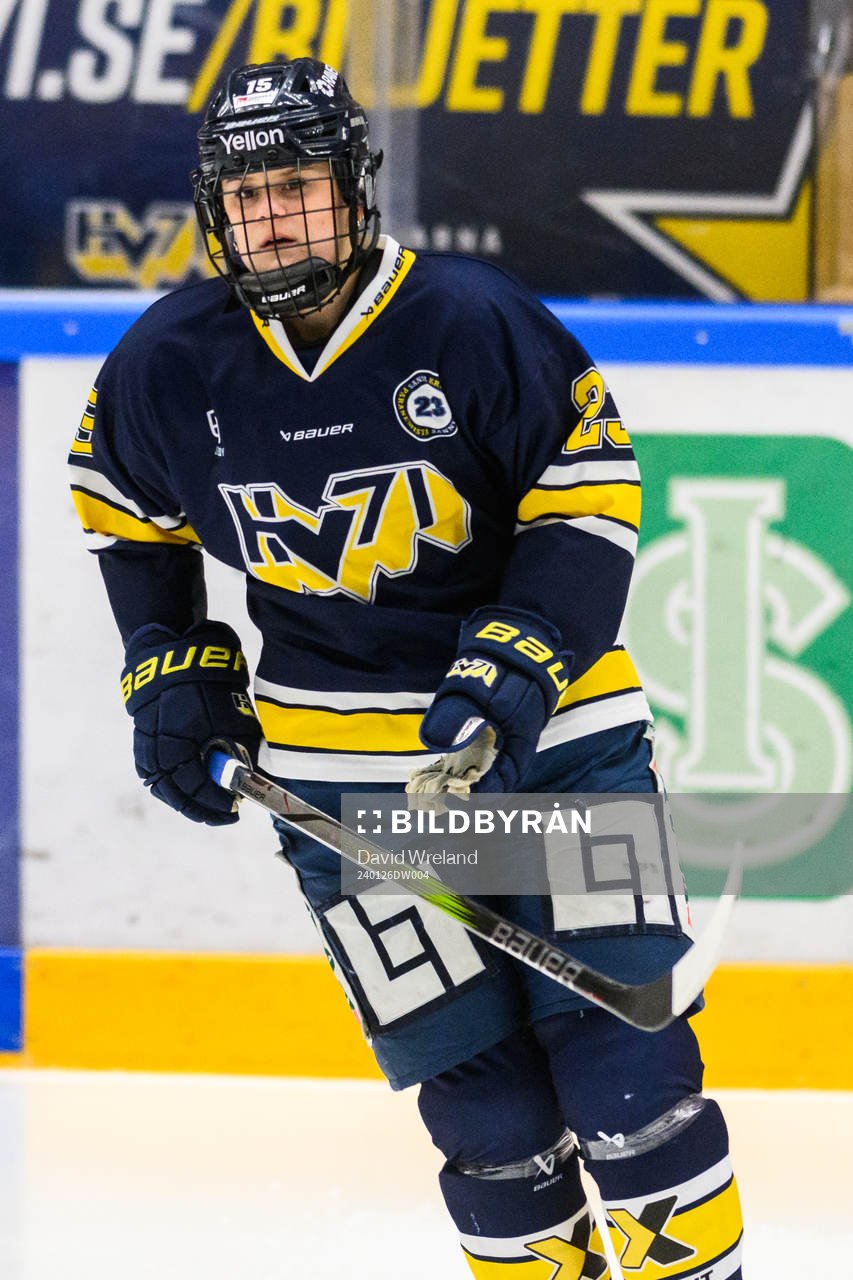 HV71s Thea Liodden