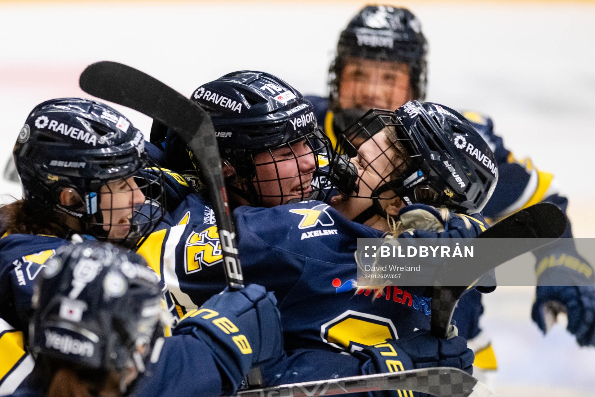 HV71s spelare jublar