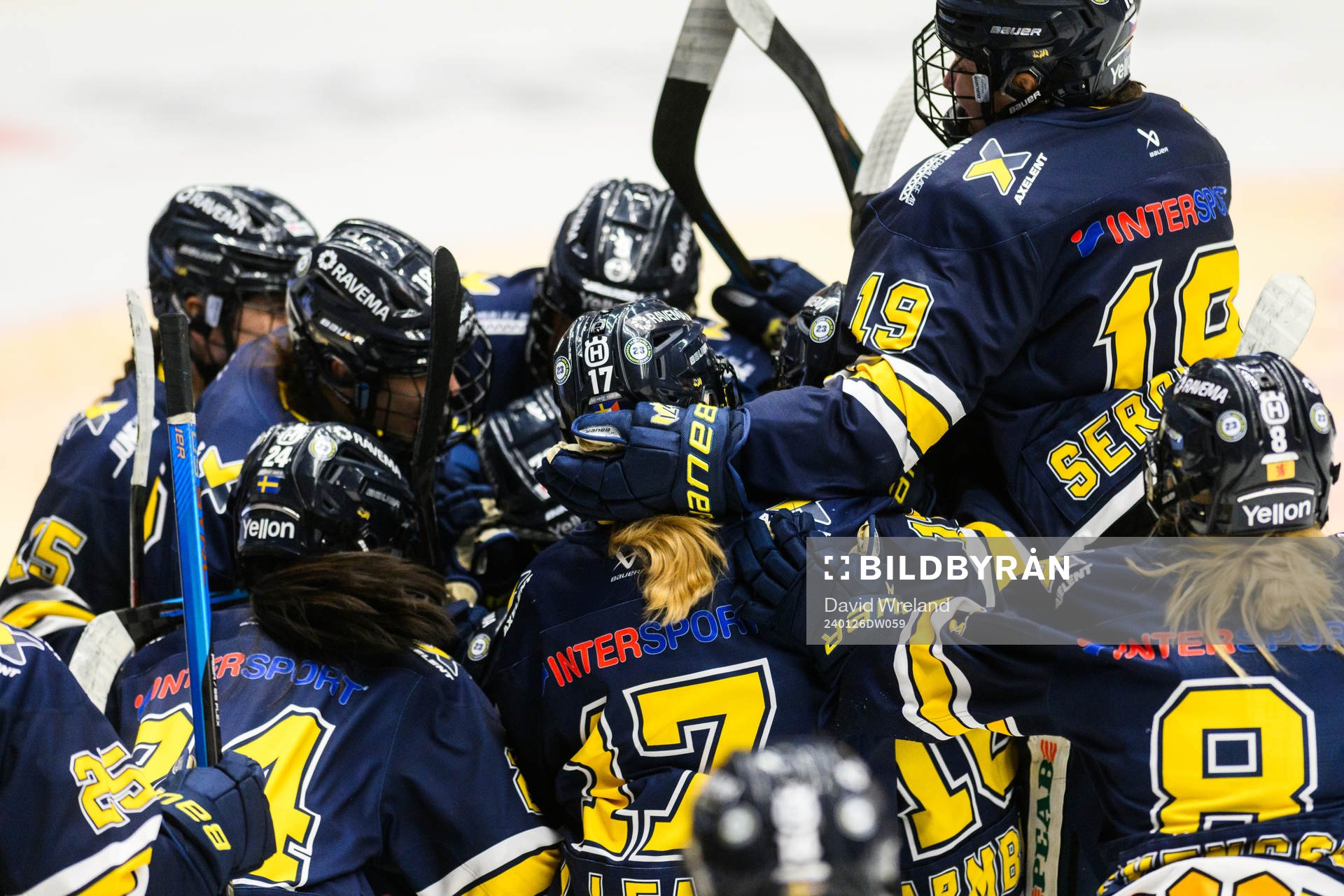 HV71s spelare jublar