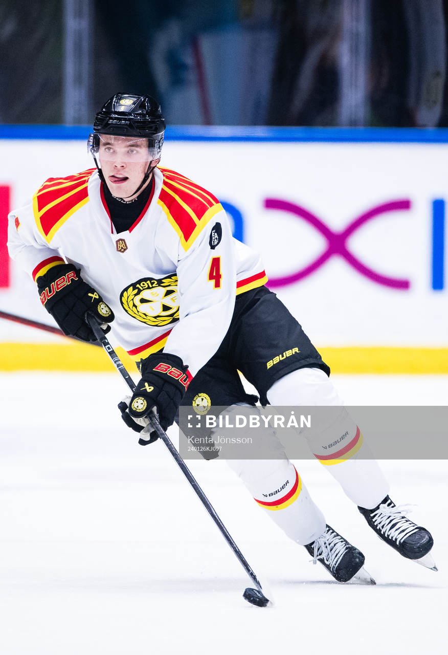 Brynäs Theo Lindstein
