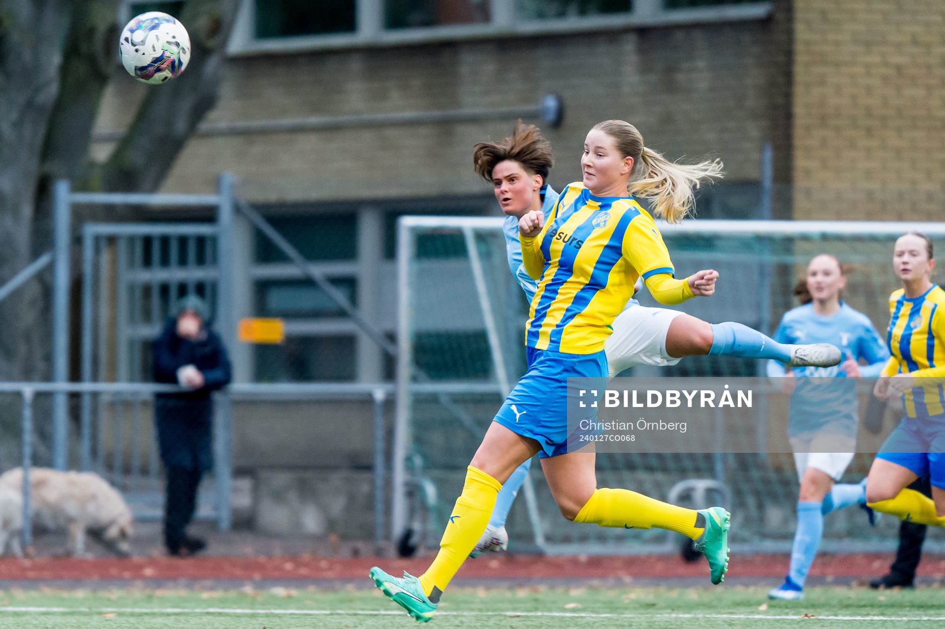 Malmö FFs Ema Paljevic