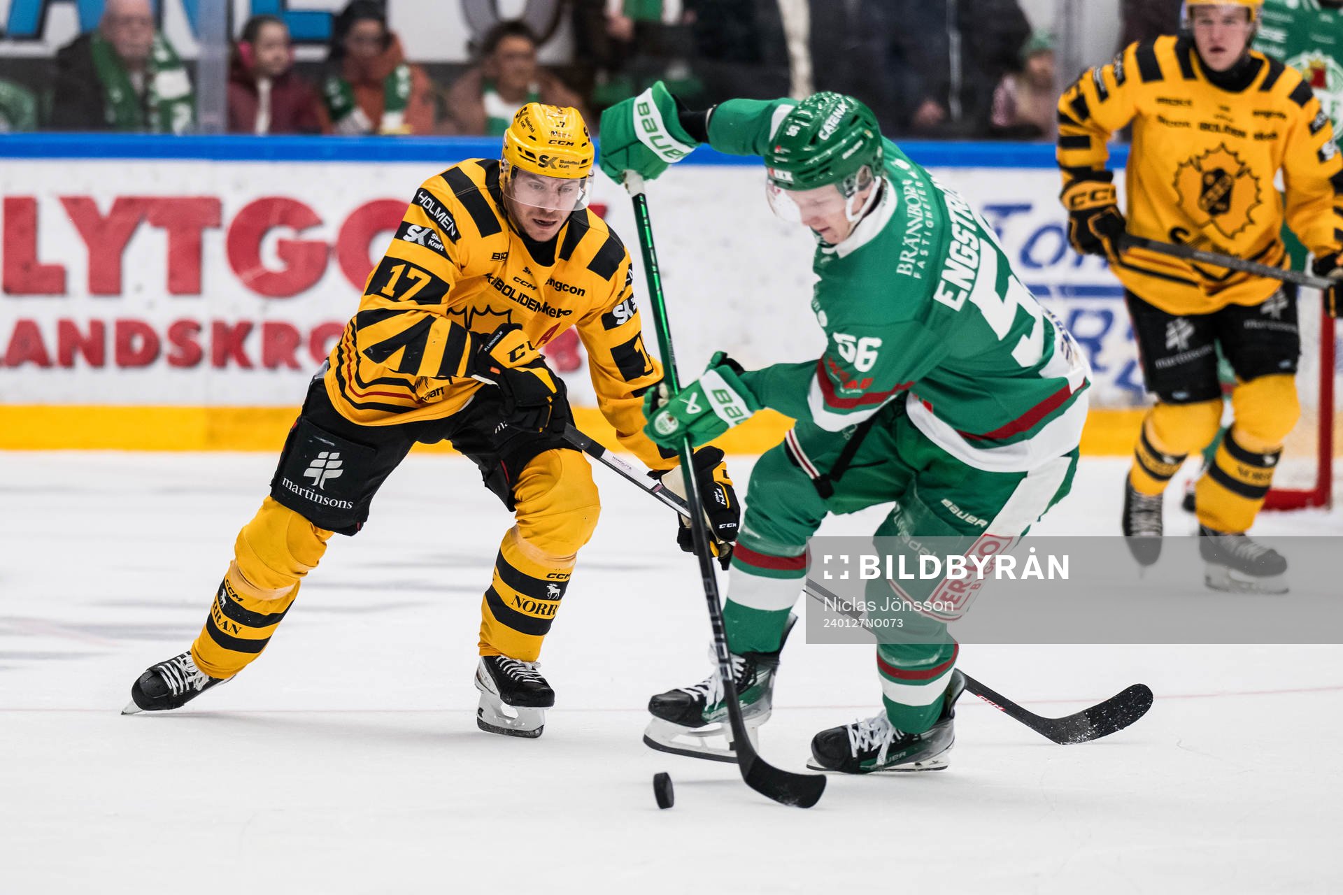 Skellefteås Pär Lindholm