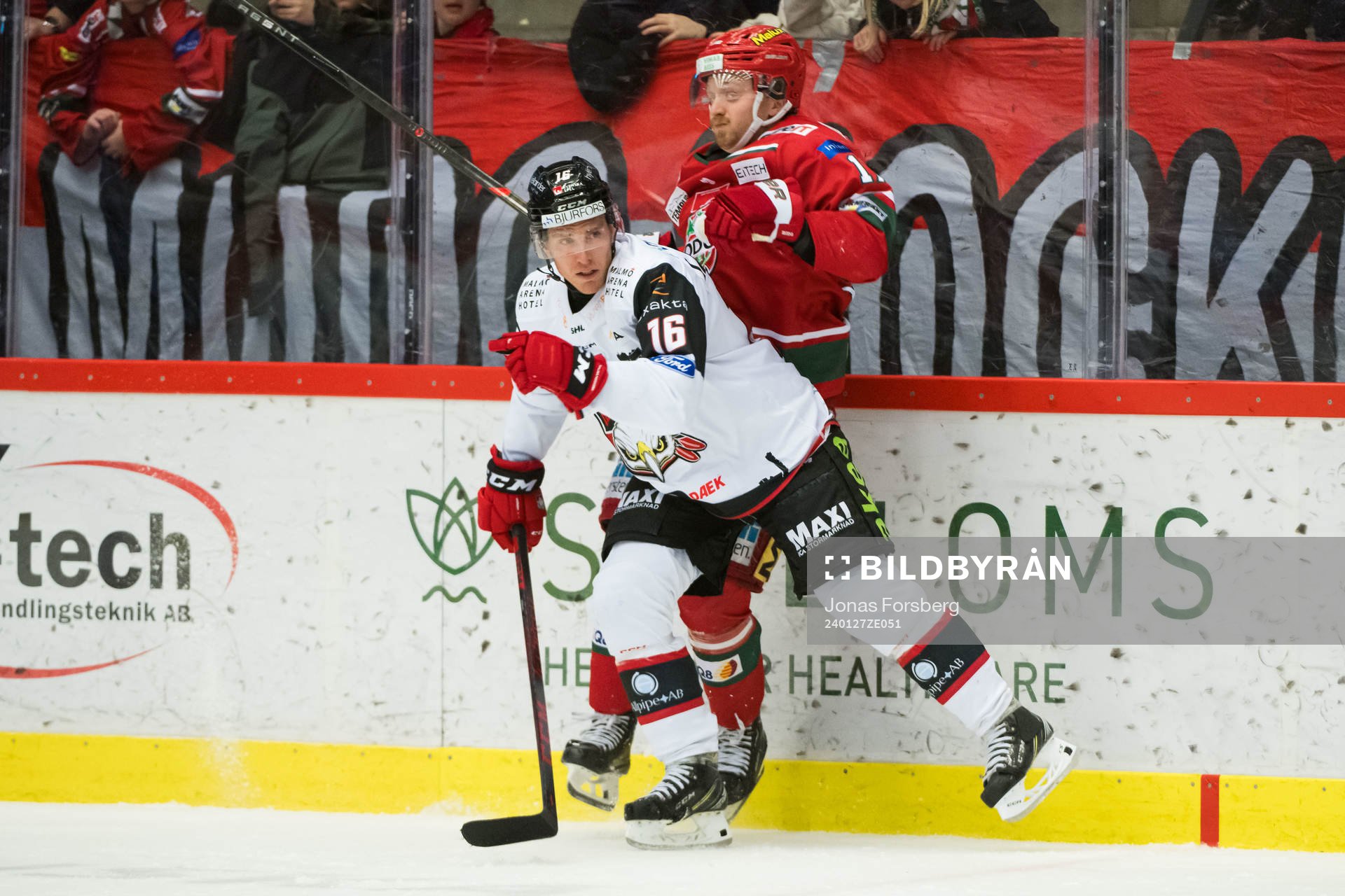 Malmö Redhawks Matias Lassen och MoDos Riley Woods