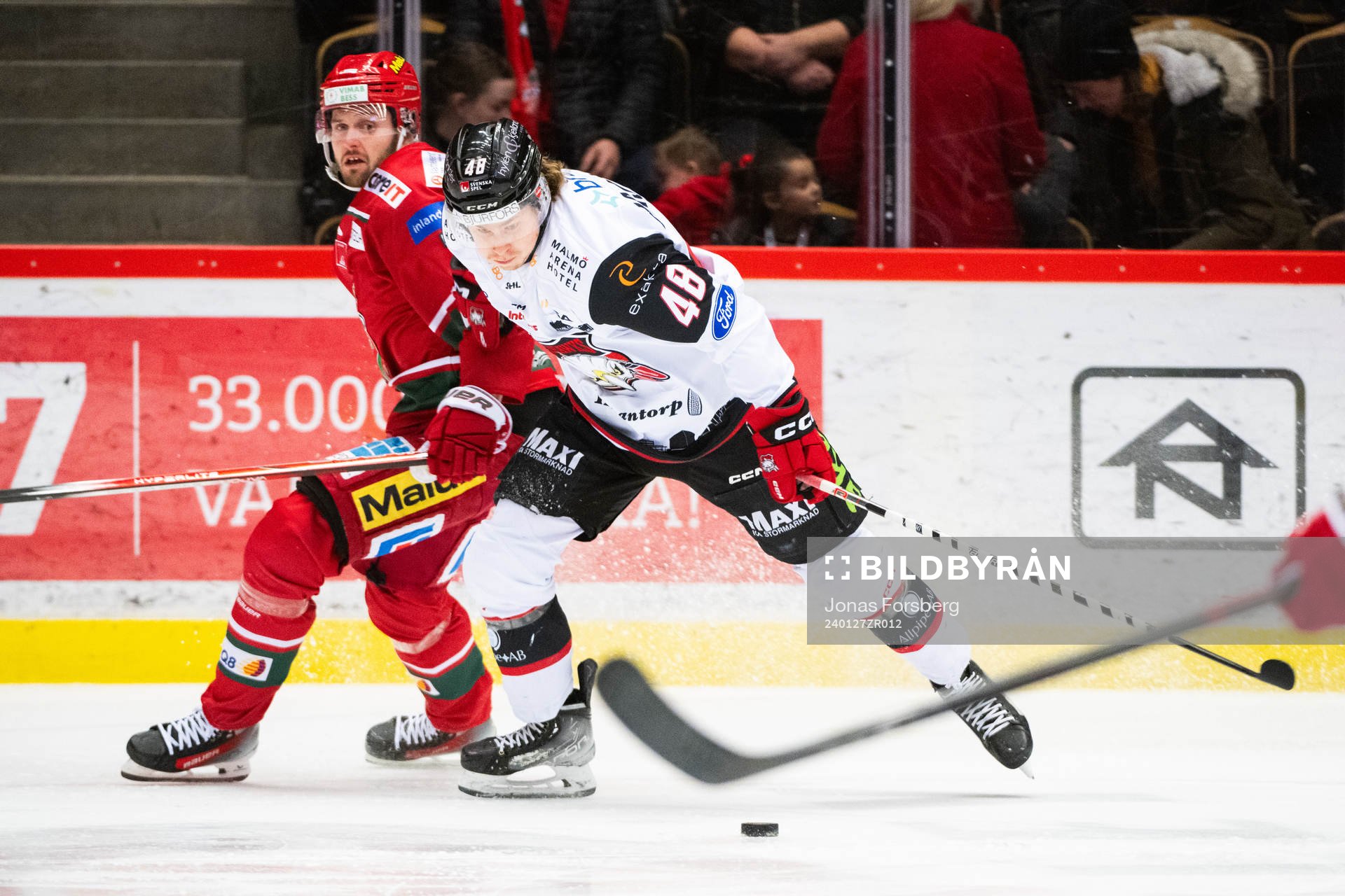 Malmö Redhawks Lauri Pajuniemi