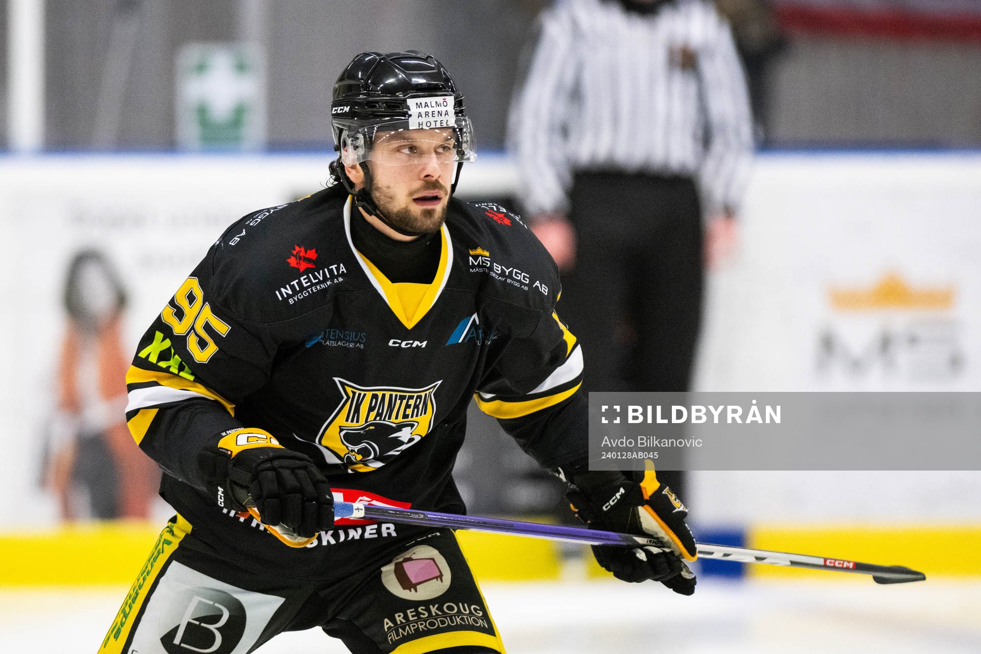 Panters Brian Liechti