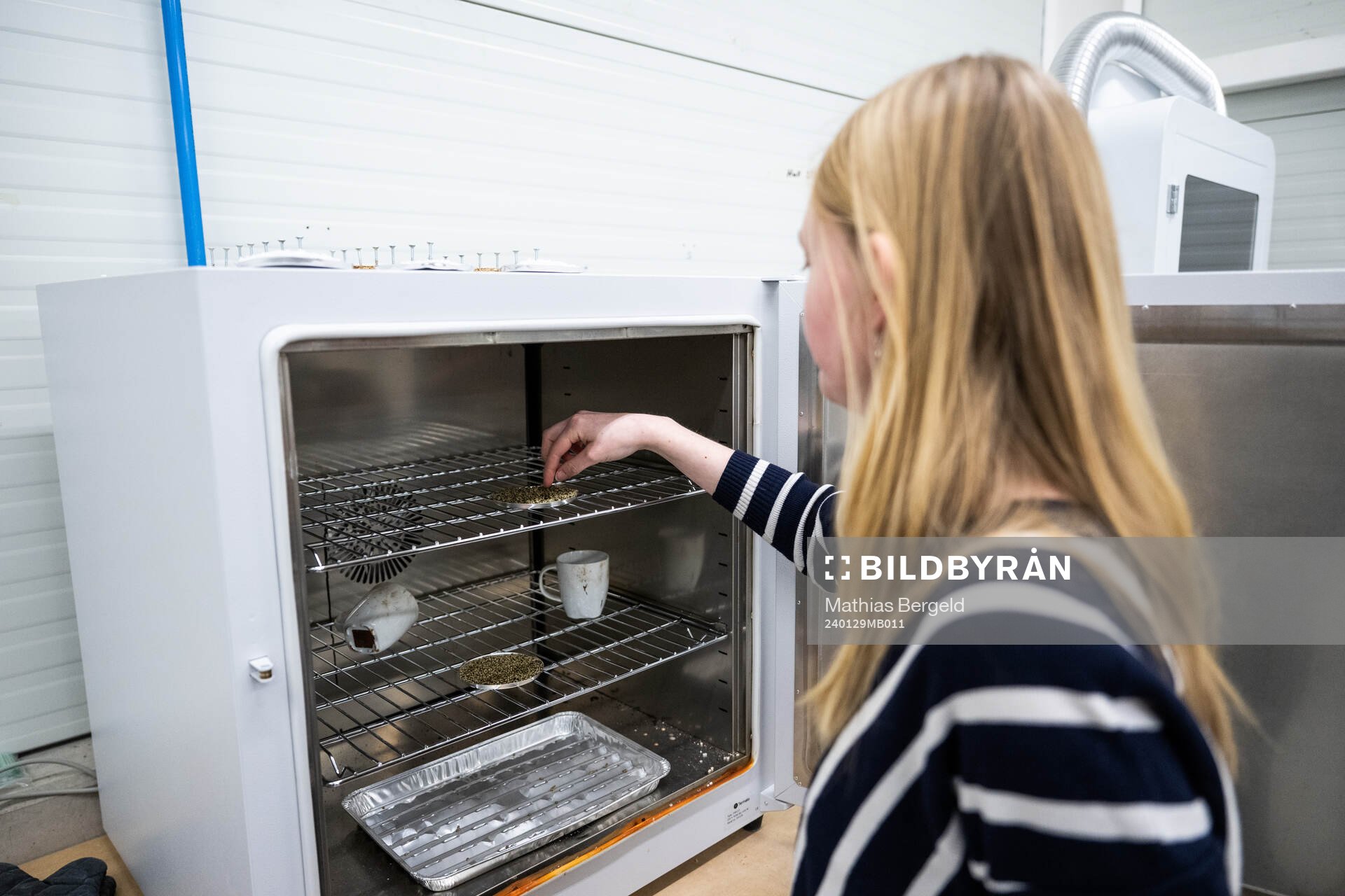 Pernilla Larsson, kemiingenjör Improve Tec Hönö, känner på infillmaterial till konstgärsplaner som ligger i en ugn den 29 januari 2024 i Hönö.