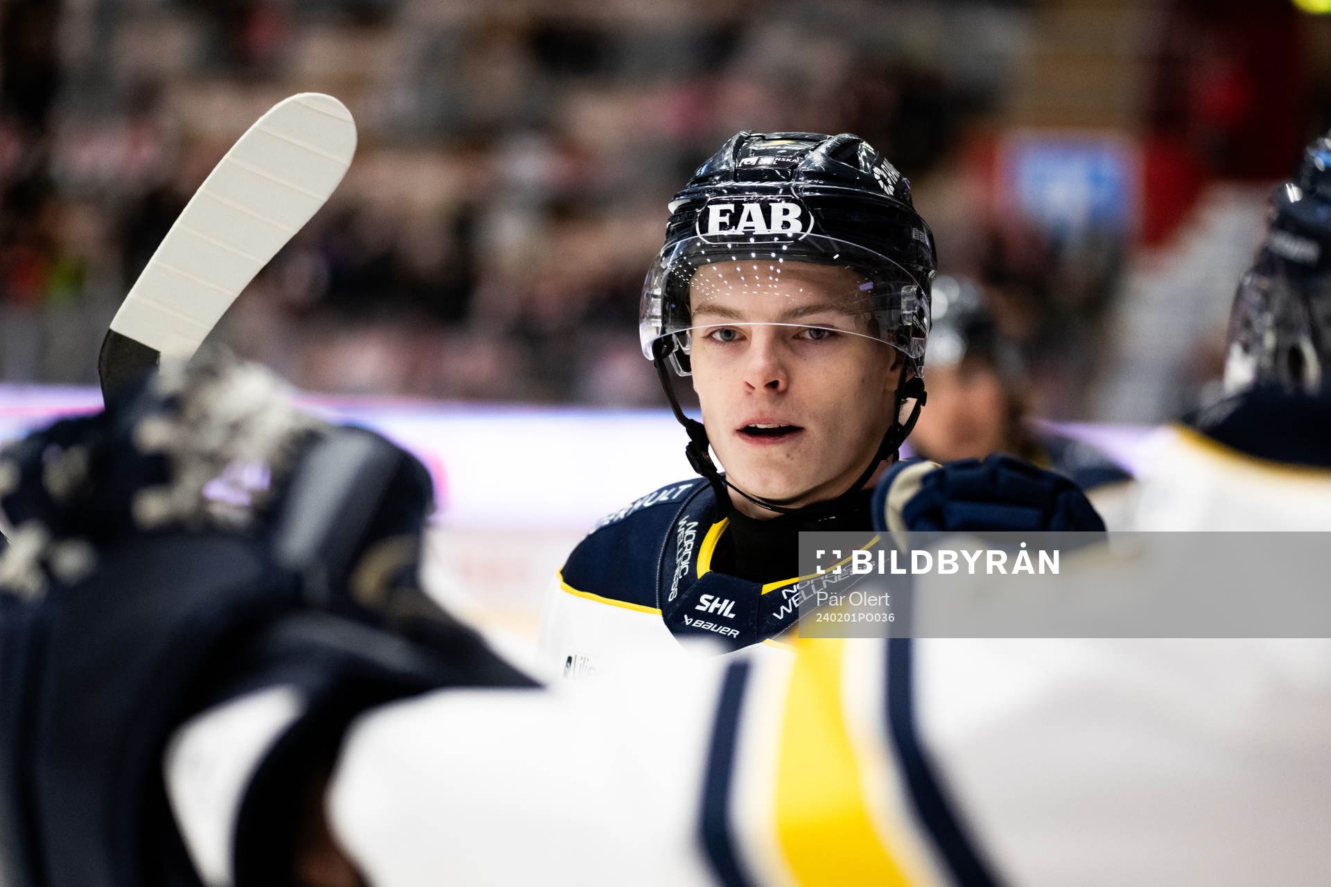 HV71s Oscar Fisker Molgaard jublar