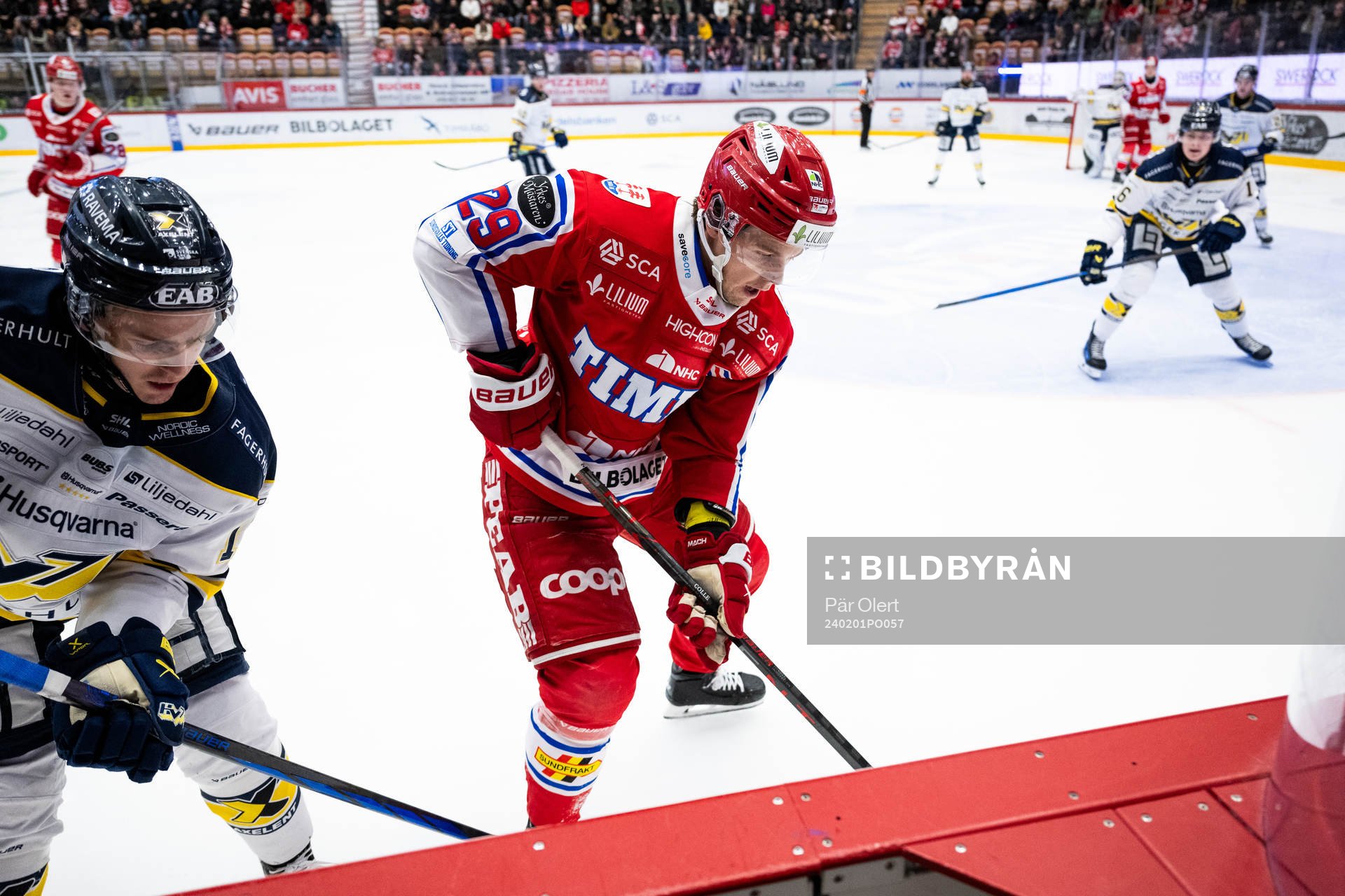 Timrås Filip Hållander