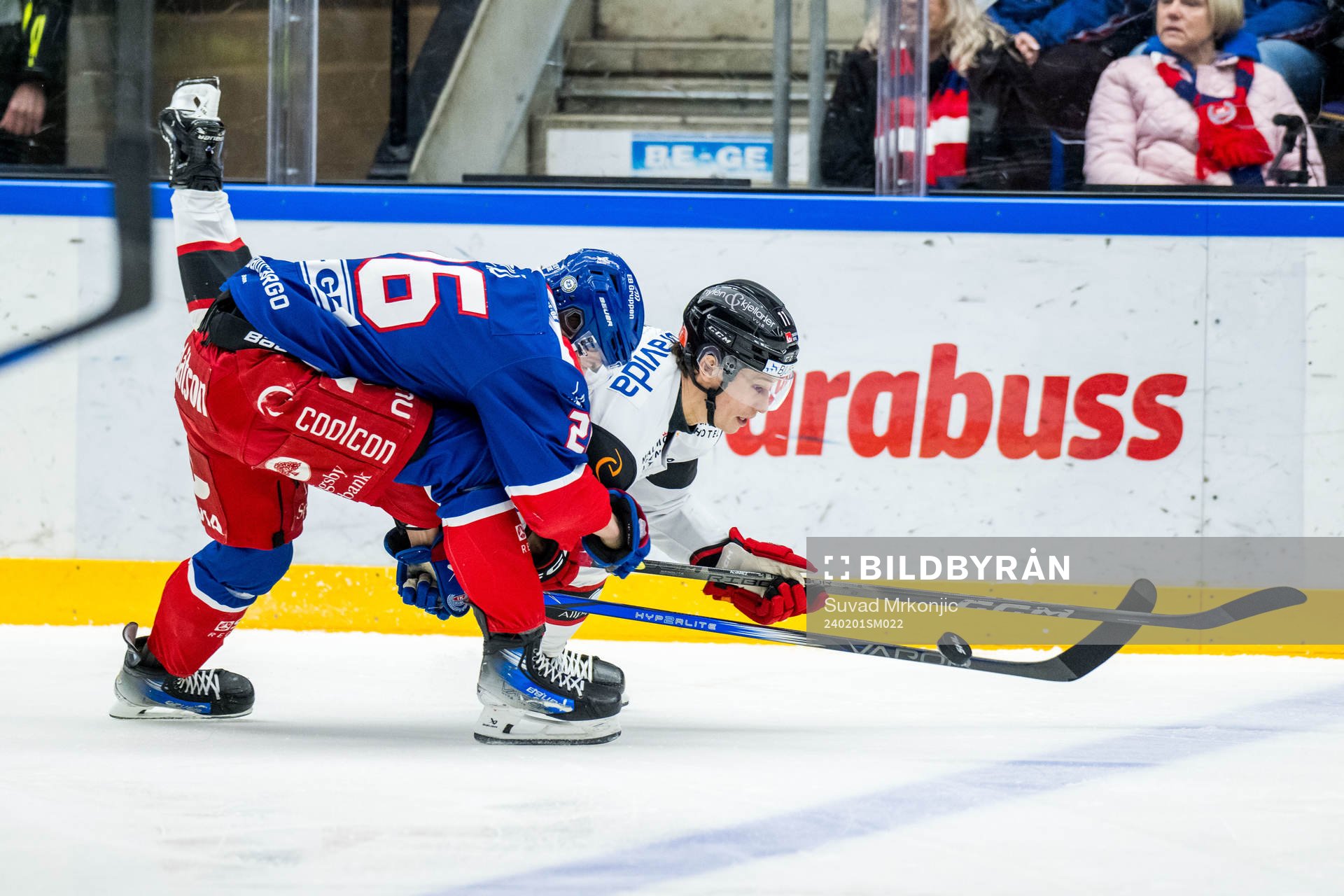 Oskarshamns Lukas Pilö och Malmö Redhawks Robin Alvarez