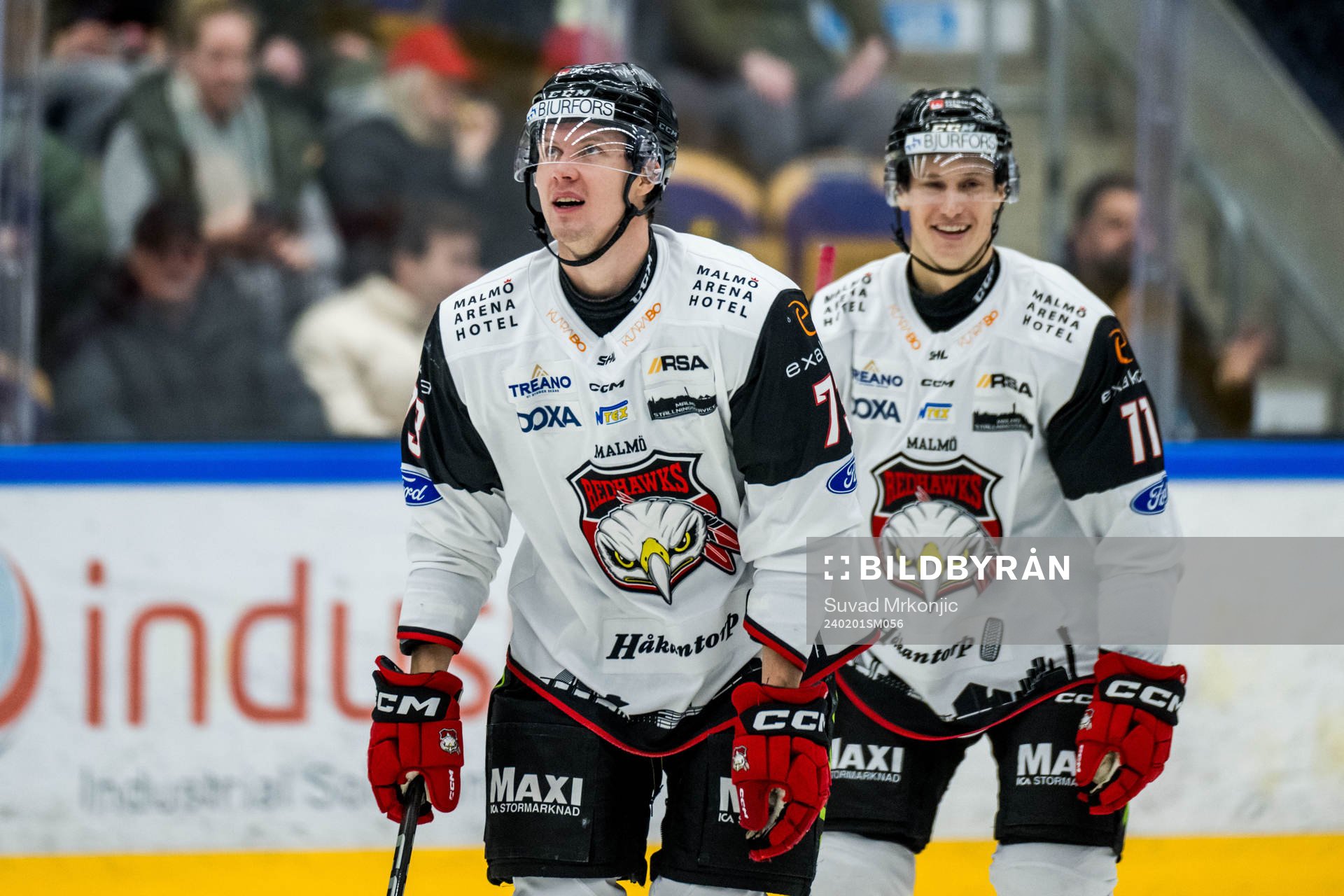Malmö Redhawks Adam Ollas Mattsson jublar