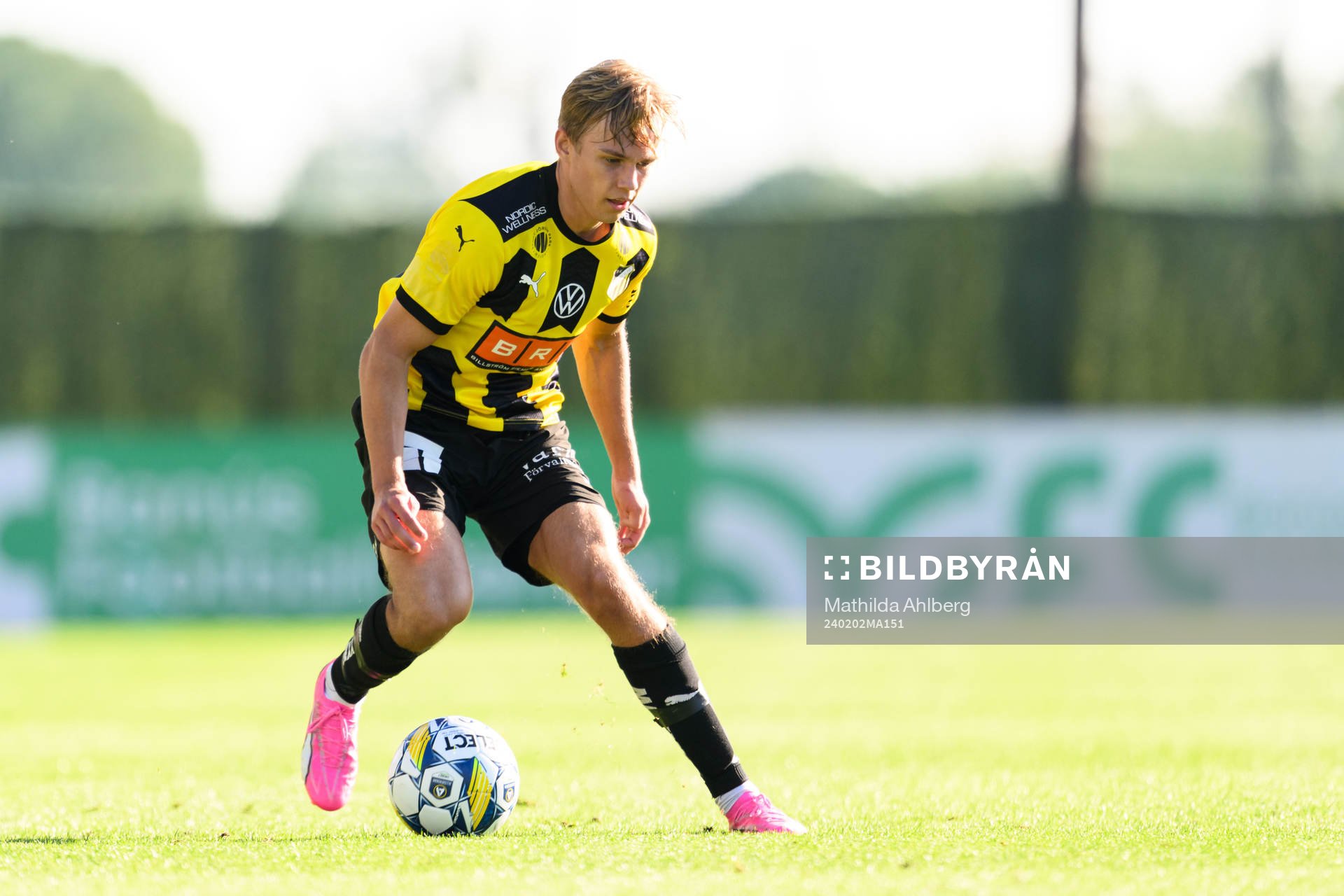 Pontus Dahbo of BK Häcken
